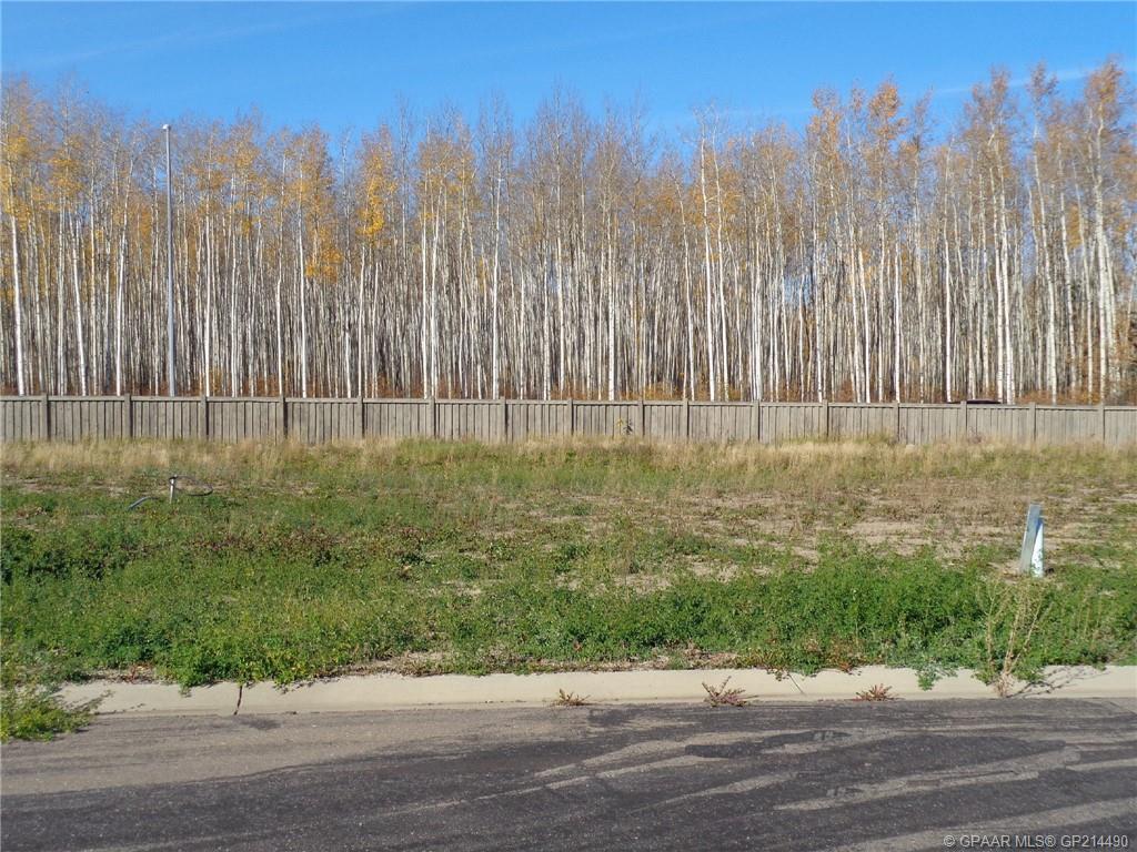 21 Bear Creek Dr, High Level, AB T0H 1Z0