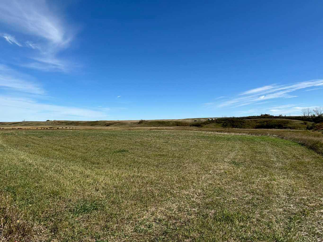 Hwy 9 Rr 19-5a, Rural Starland County, AB T0J 2B0