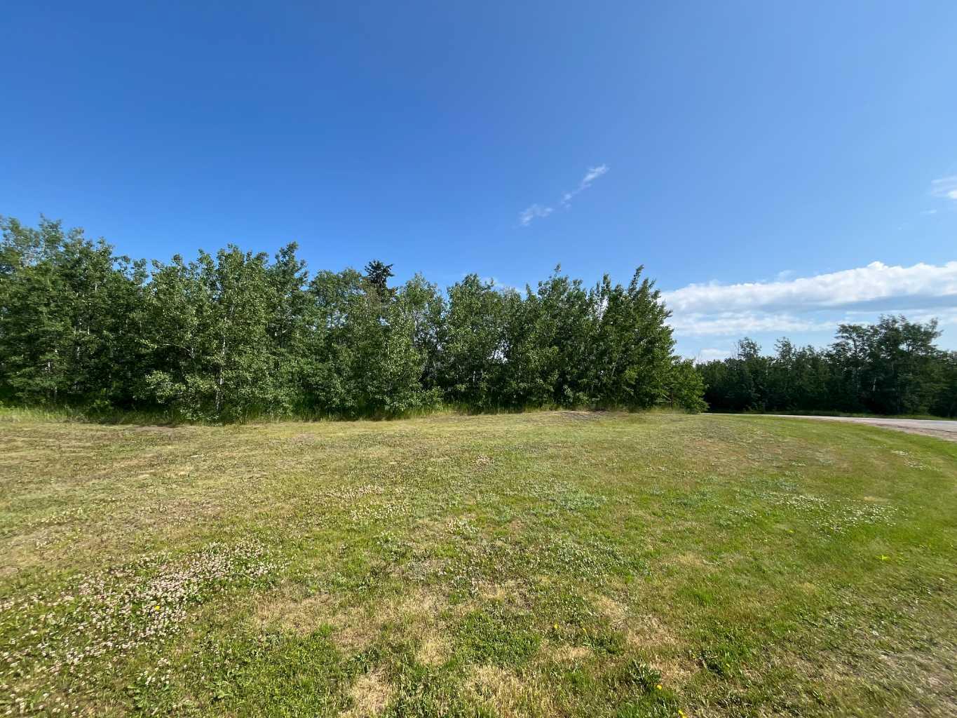 12 Wolf Run Dr, Rural Ponoka County, AB T4J 1R3