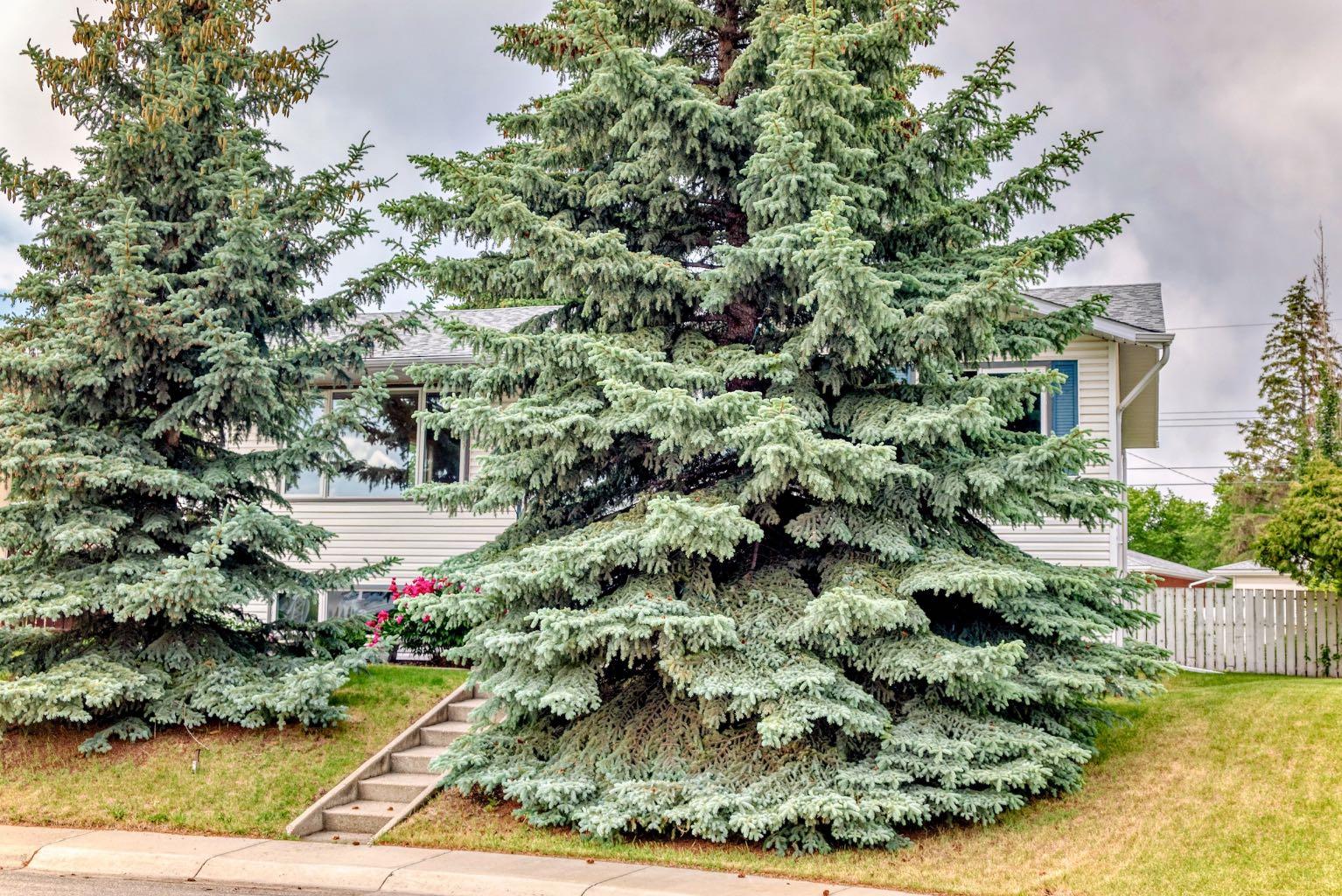 5036 Marshall Rd NE, Calgary, AB T2A 2Y8