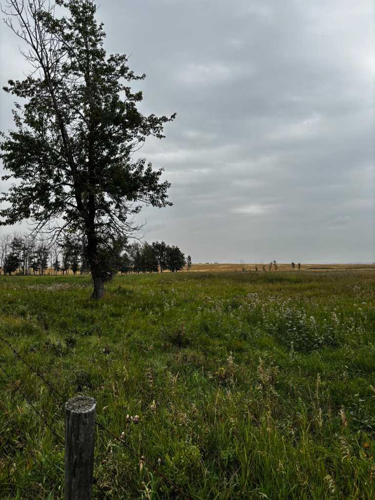 547 Unit 000, Aldersyde, AB T0L 0A0