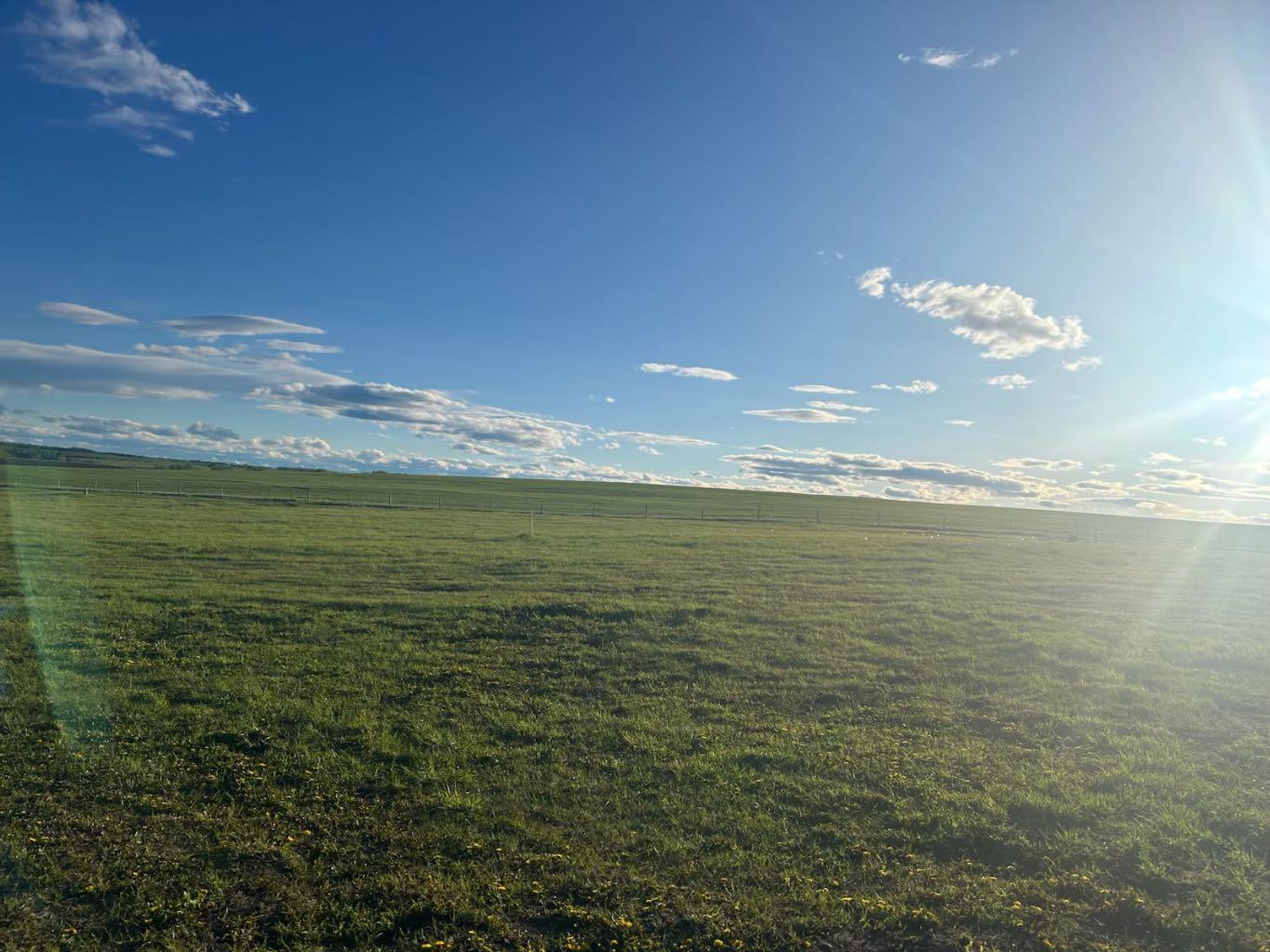30260 Rr40, Rural Mountain View County, AB T0M 0N0