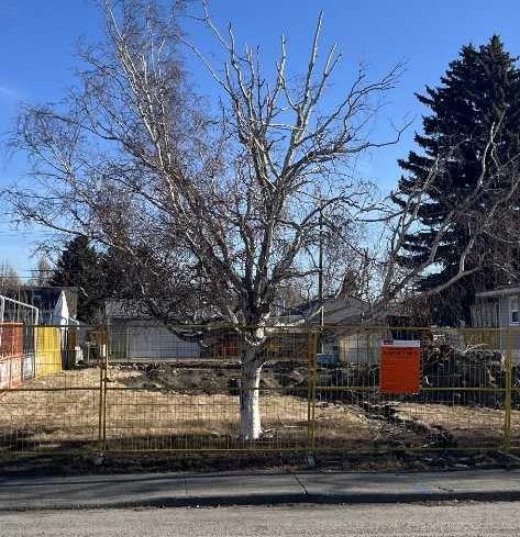 1116 Radnor Ave NE, Calgary, AB T2E 5H6