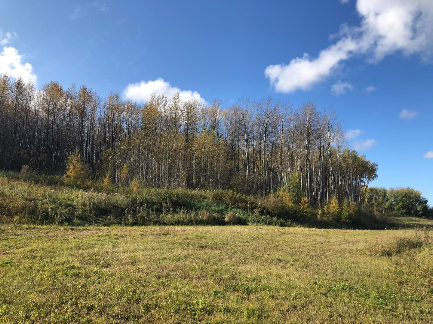 16326 Twp Rd 675 Unit 115, Plamondon, AB T0A 2T0