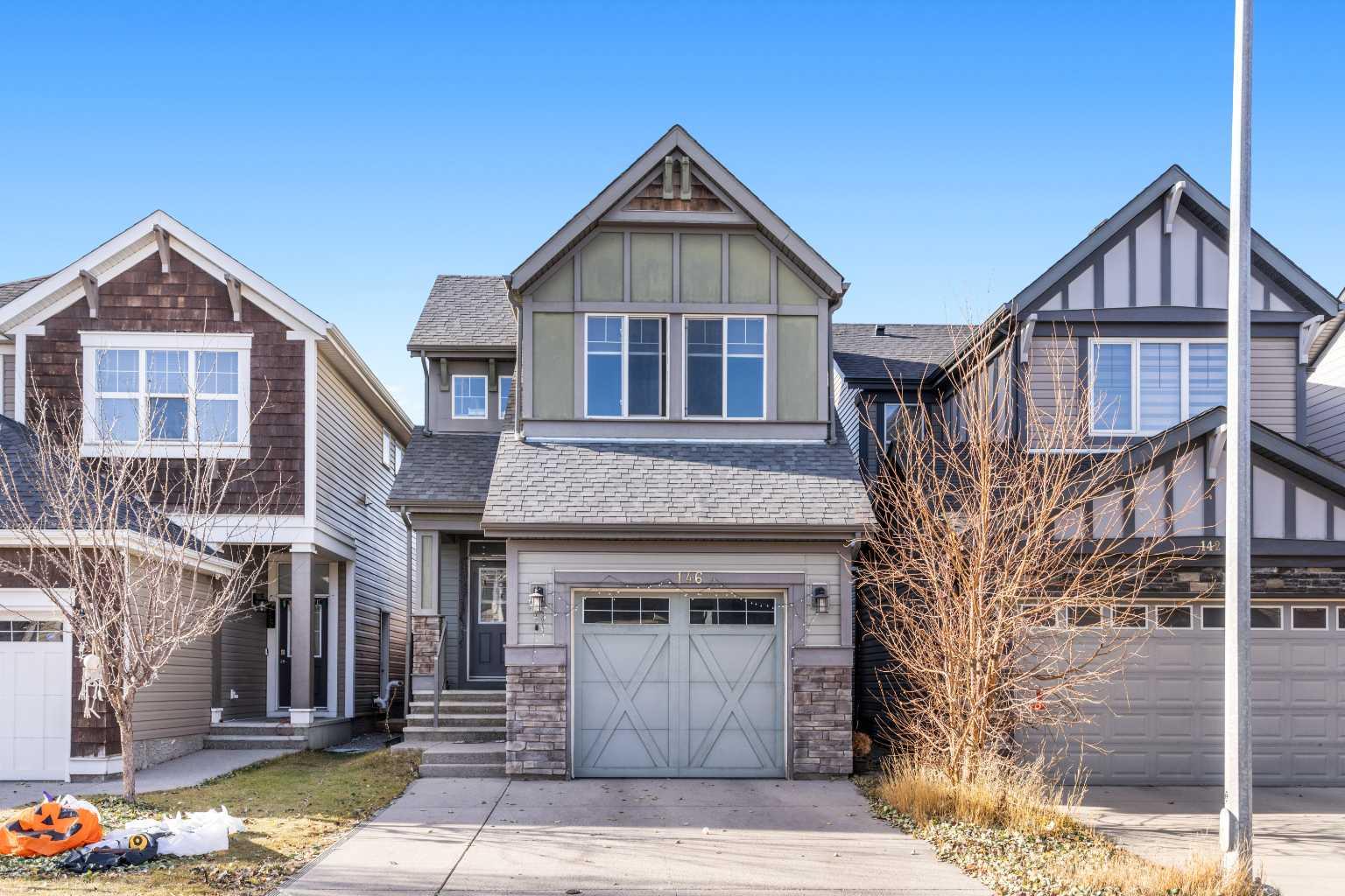 146 Skyview Point Cres NE, Calgary, AB T3N 0M1