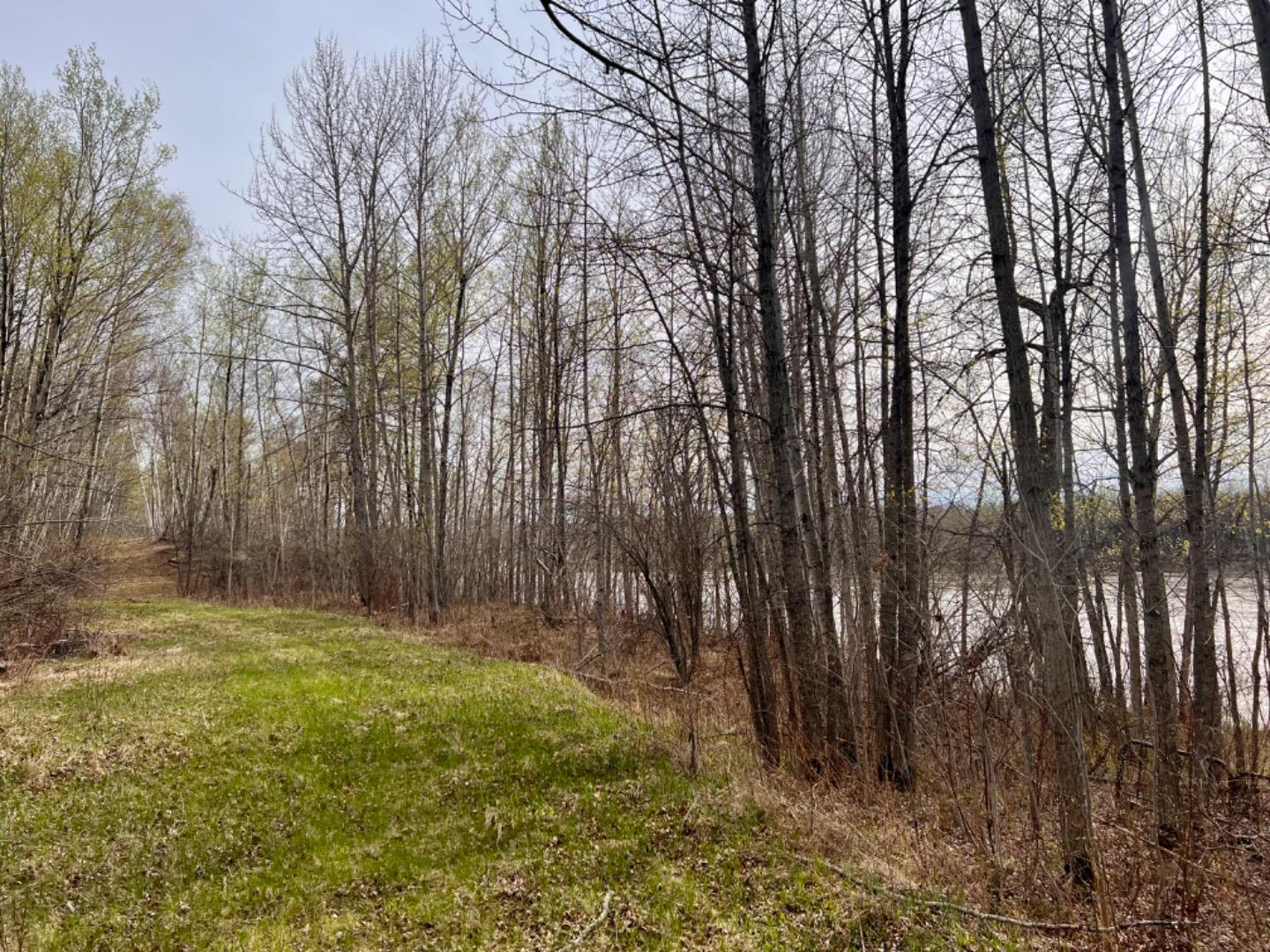 Lot APT 7 Survey Road, Athabasca, AB T9S 1C4