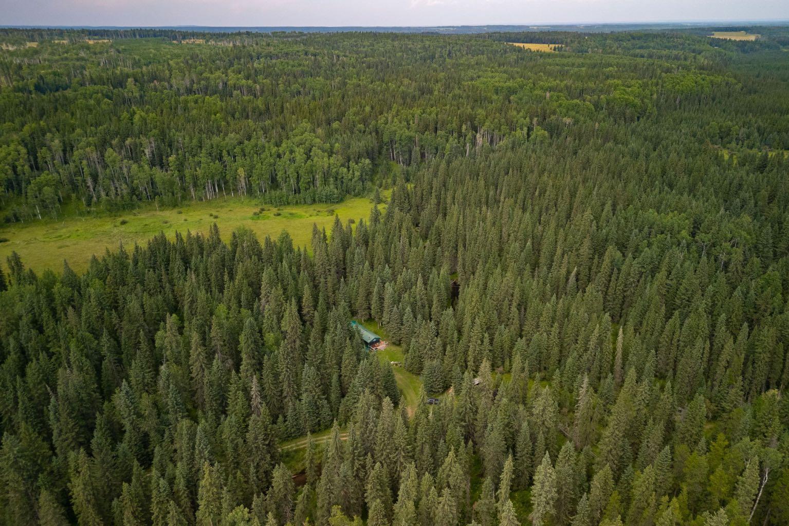 Limpkin Flats Twp Rd 355, Rural Clearwater County, AB T0M 0N0