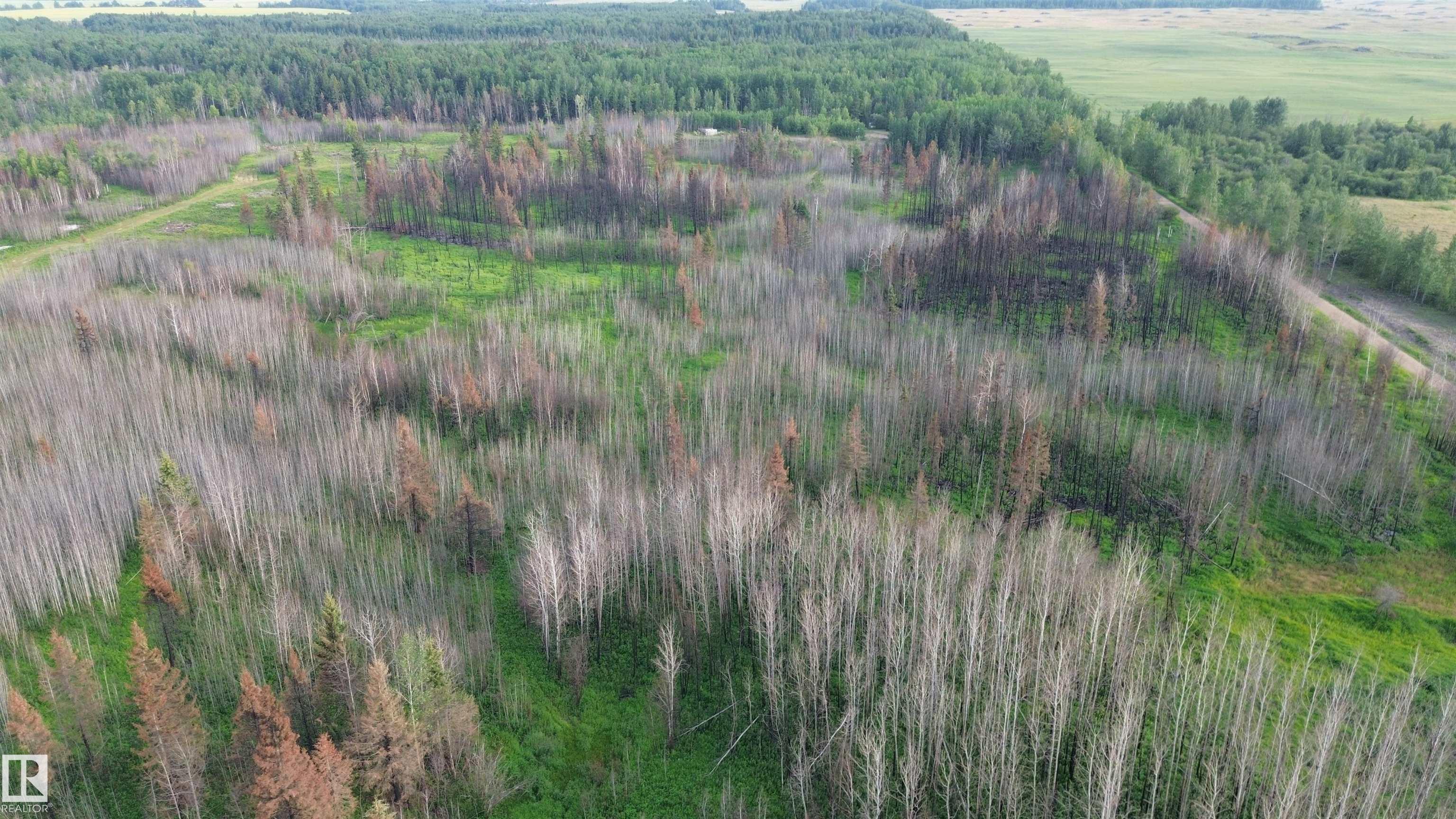 APT 2 Twp 630 Rr 26, Rural Westlock County, AB T0G 0S0