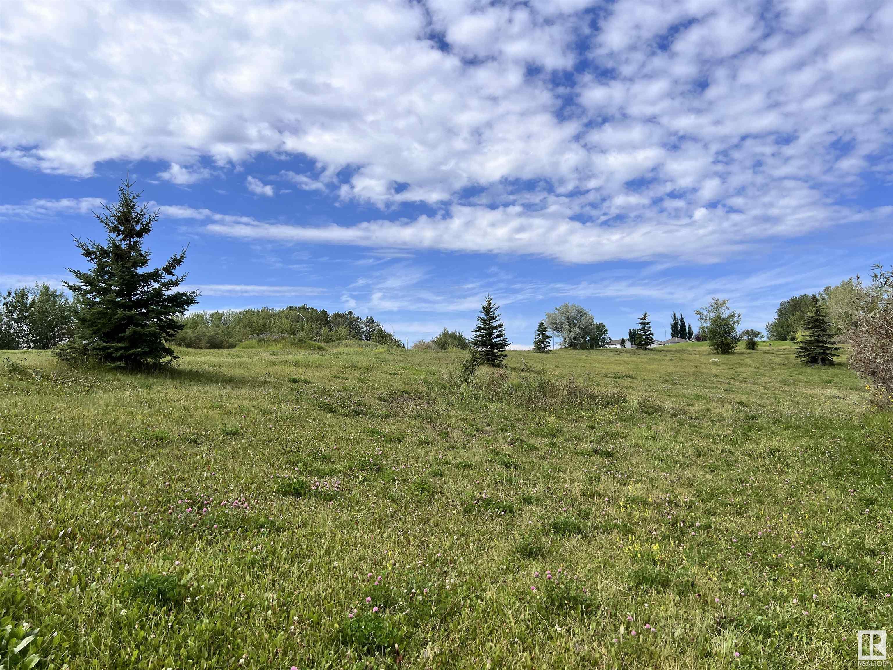 43 Ave Unit 3500, Drayton Valley, AB T7A 1T8