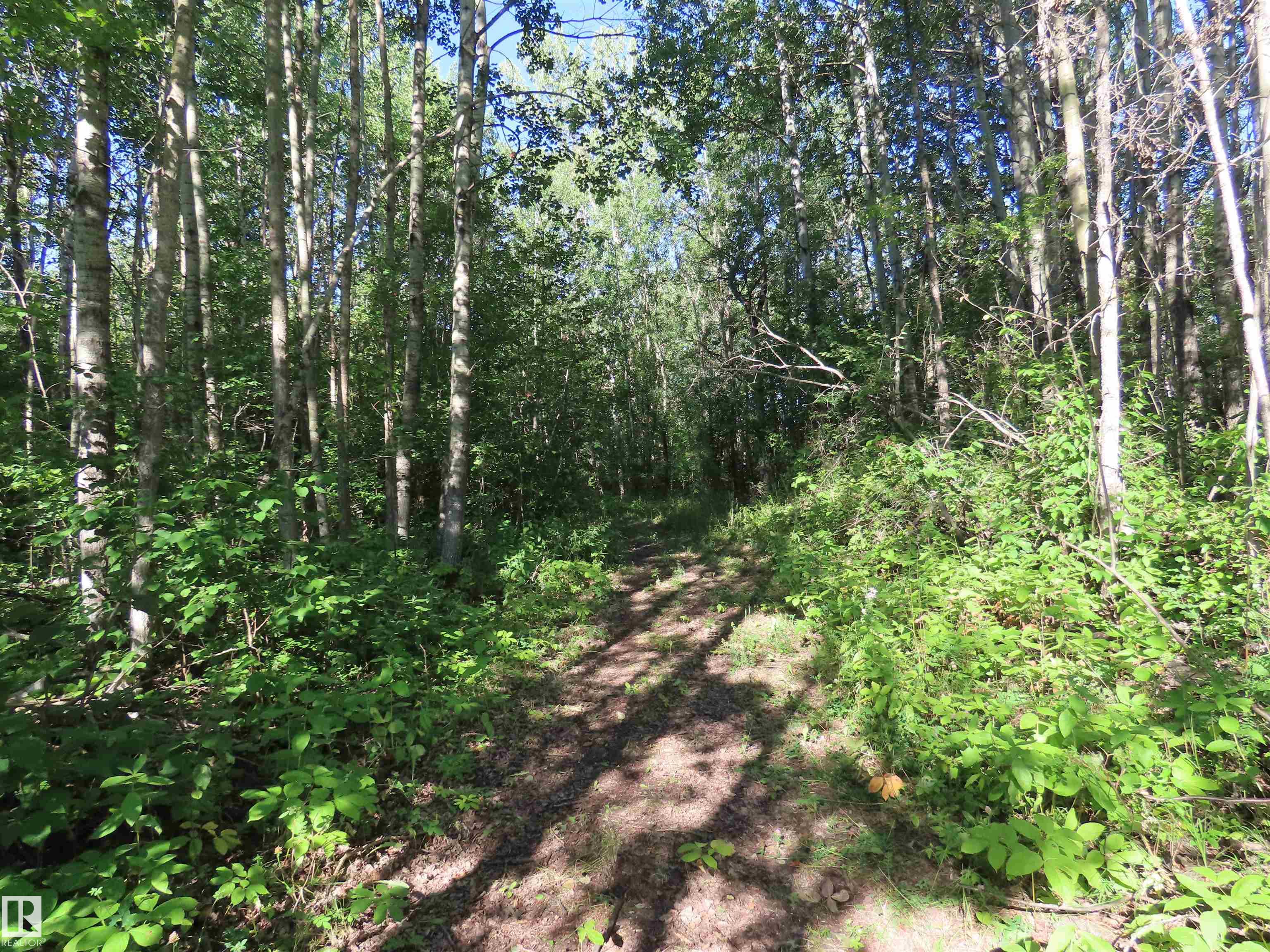 6004 Township Rd 534 #41, Rural Parkland County, AB T0E 2B0
