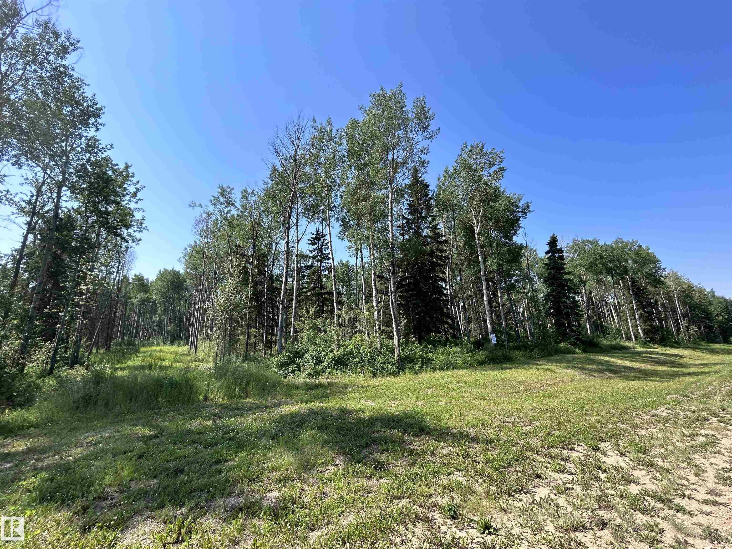 Lot 3 Forest Road, Rural Athabasca County, AB T9S 1C4