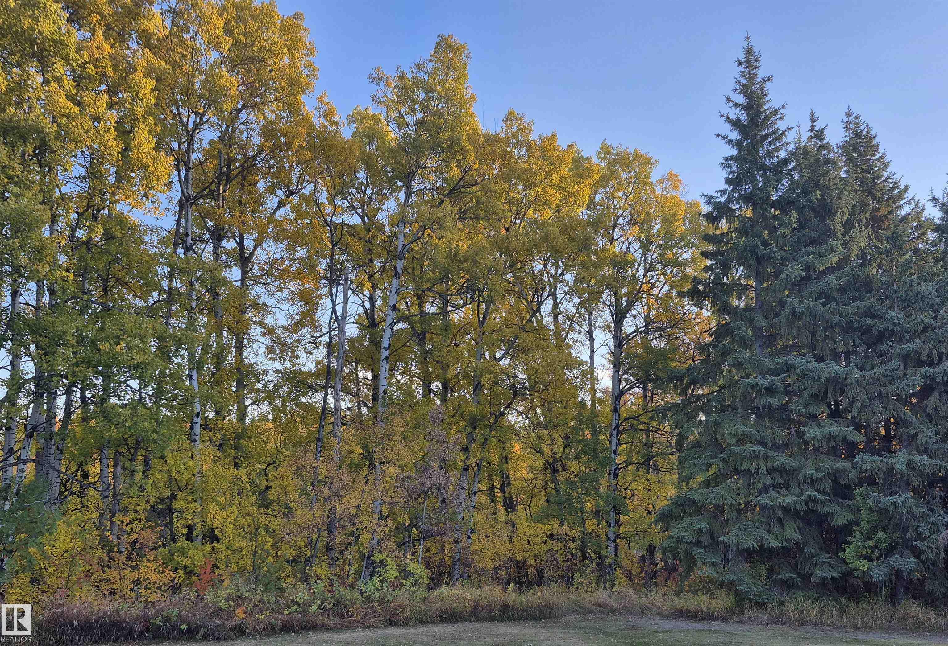 50322 Range Rd 10 #49, Rural Parkland County, AB T7Y 2A1