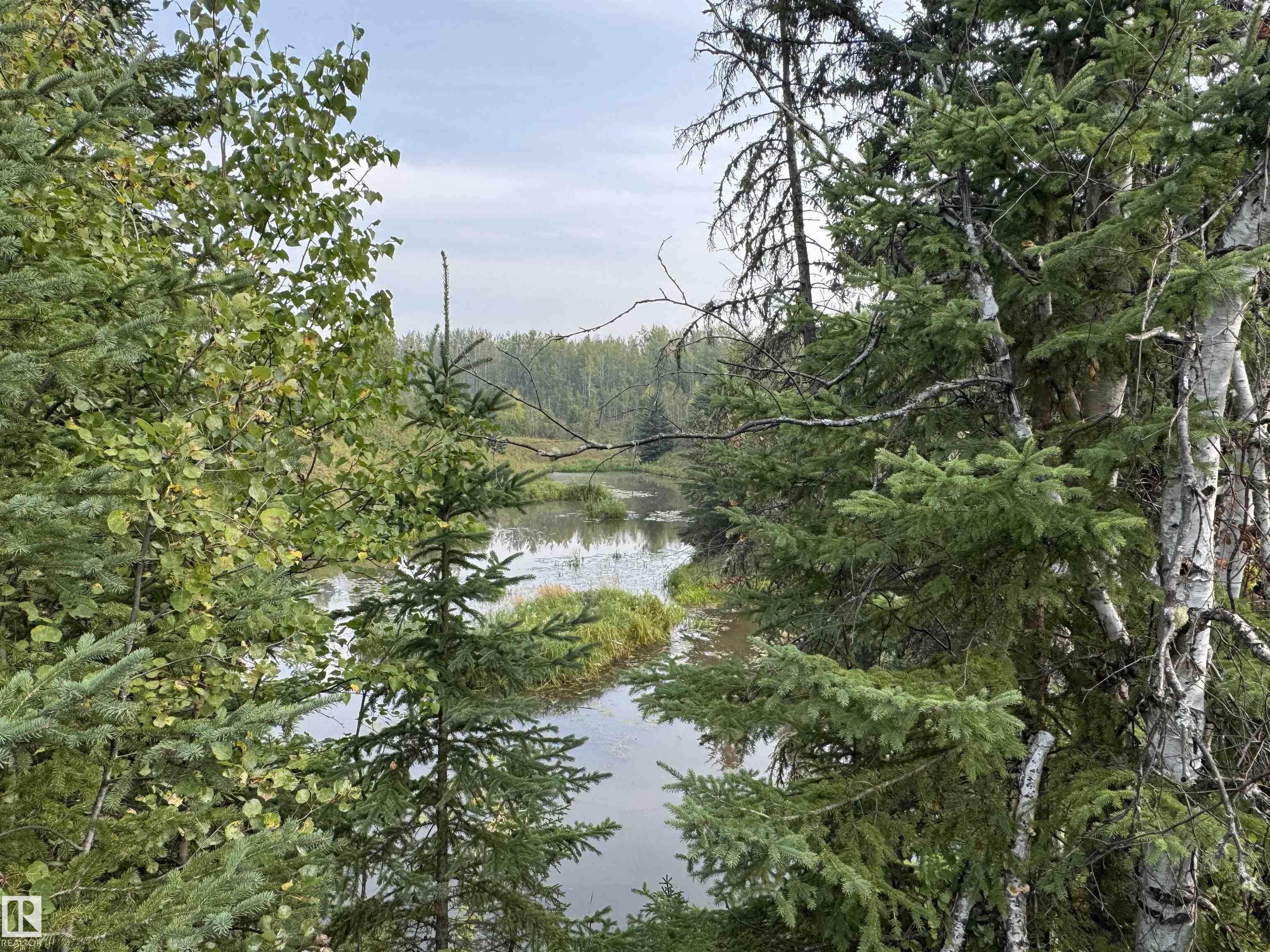 On Twp 484, Rural Brazeau County, AB T0C 0A0