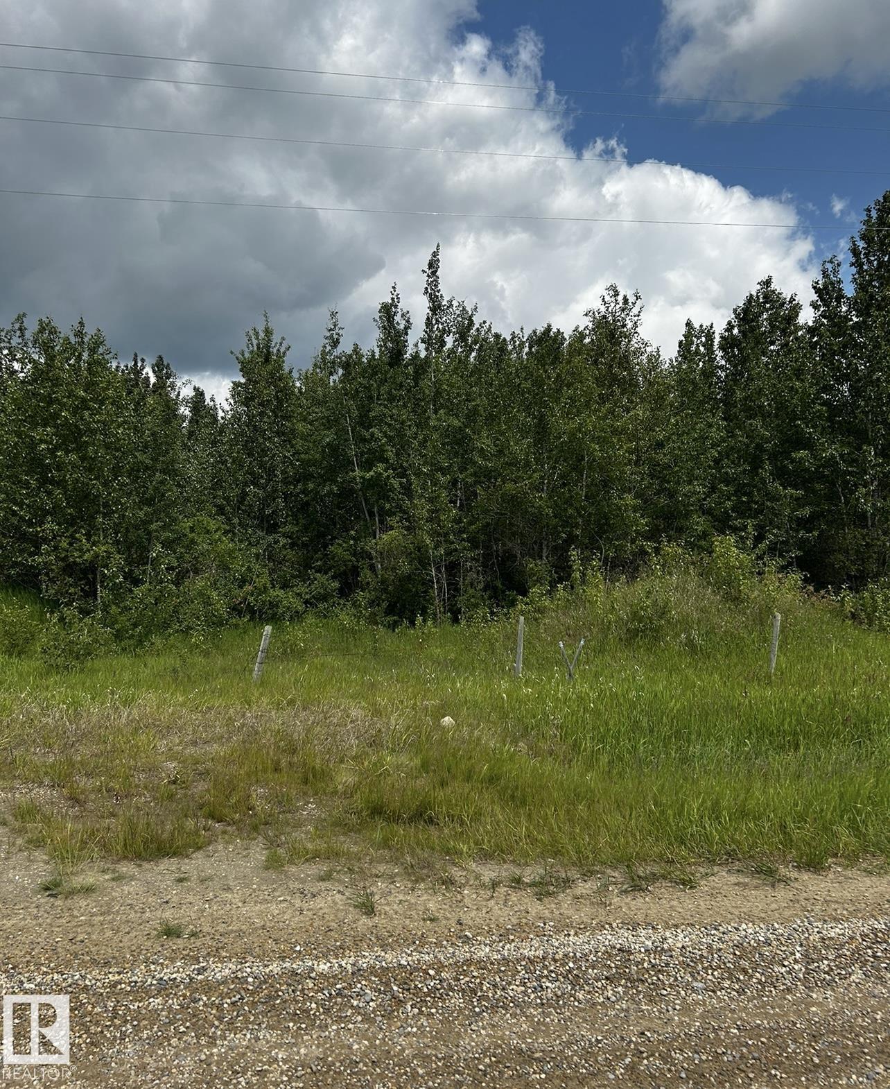 Township Rd 472 Highway 2a, Rural Wetaskiwin County, AB T0C 1Z0