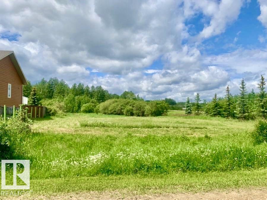 433 Swedberg St, Rural Wetaskiwin County, AB T0C 2V0