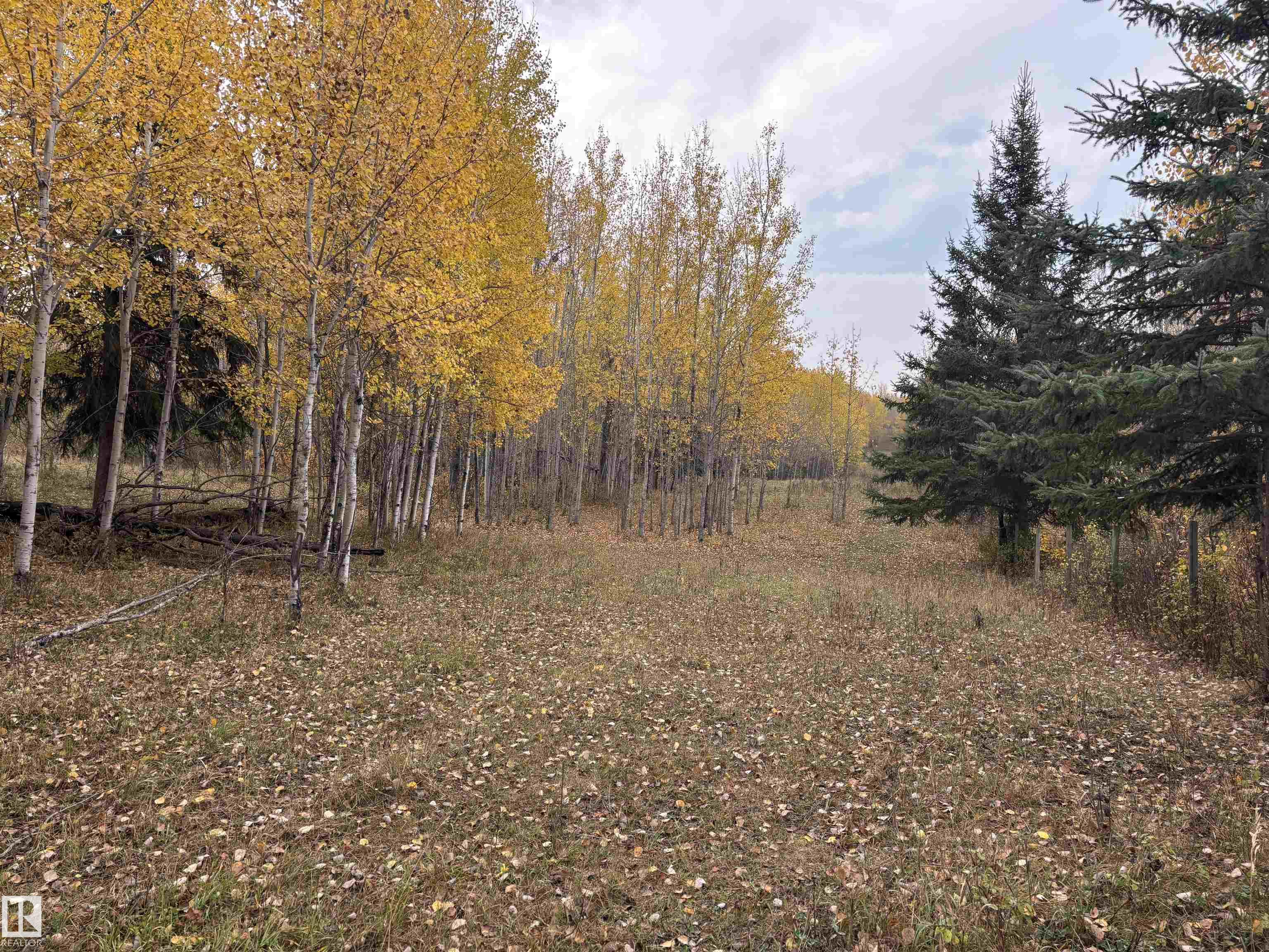 3138 Twp Rd 510, Rural Leduc County, AB T0E 0E0
