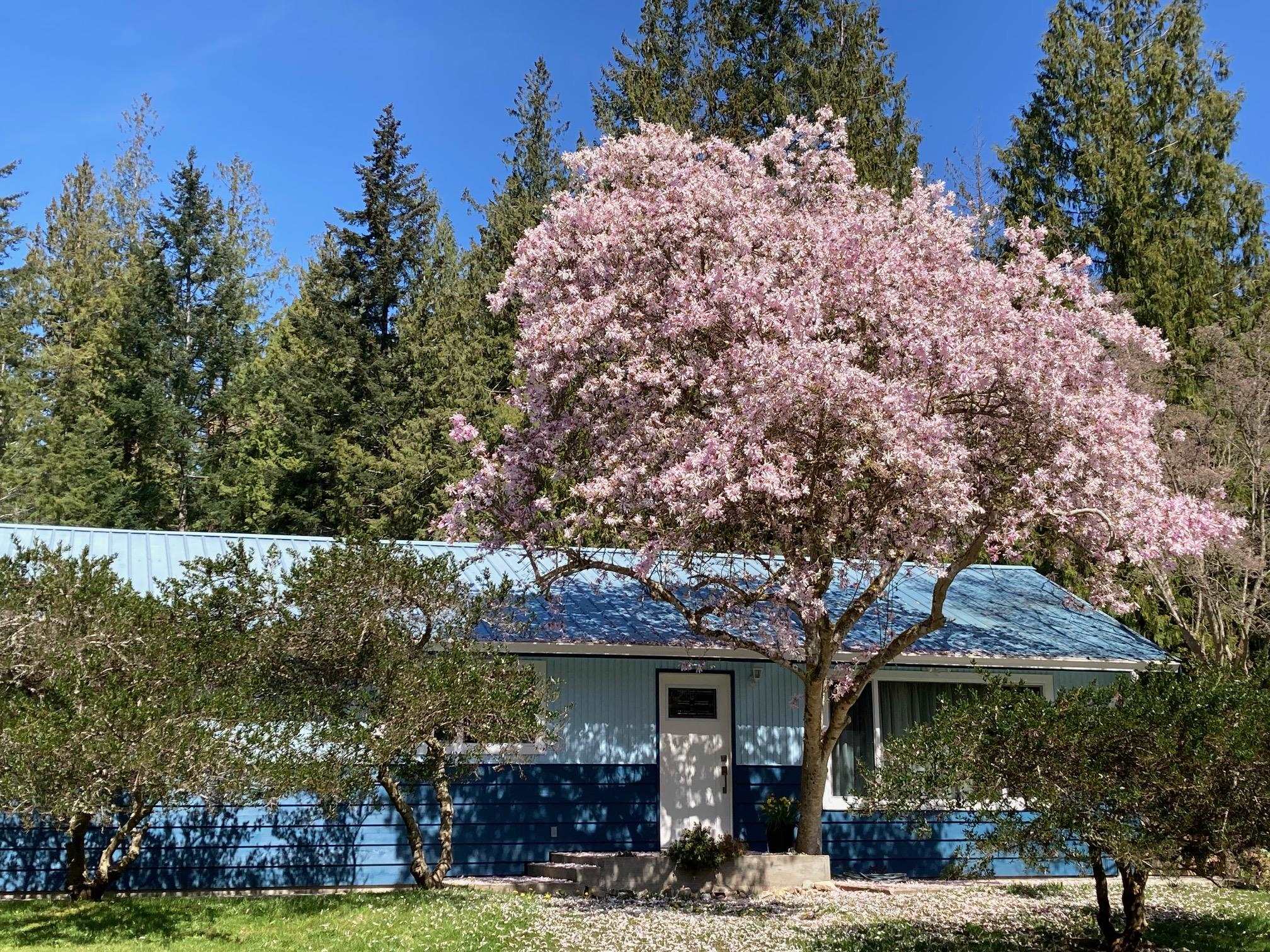 4569 Francis Peninsula Rd, Madeira Park, BC V0N 2H1