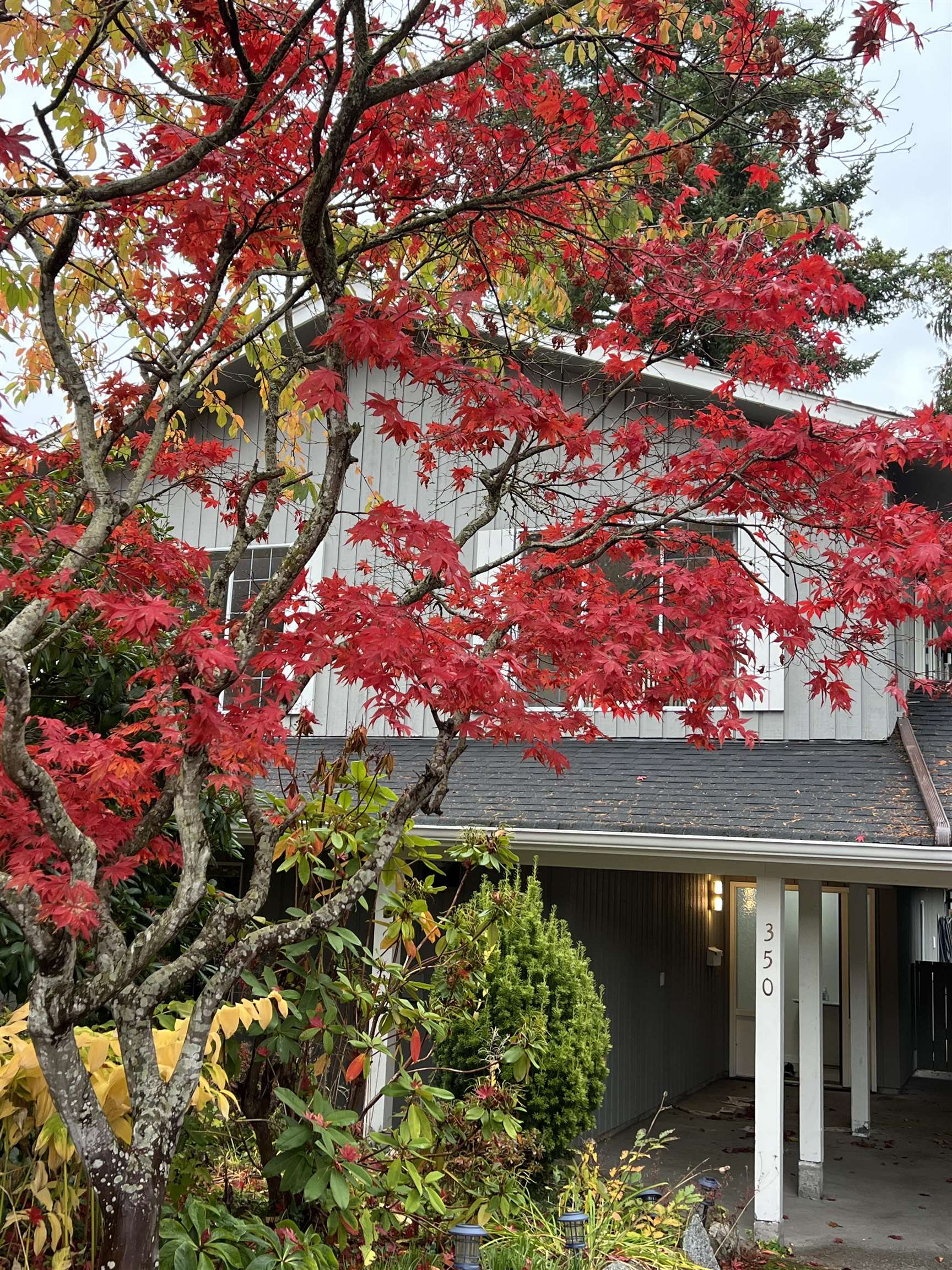 52a Street, Delta, BC V4M 2Z9