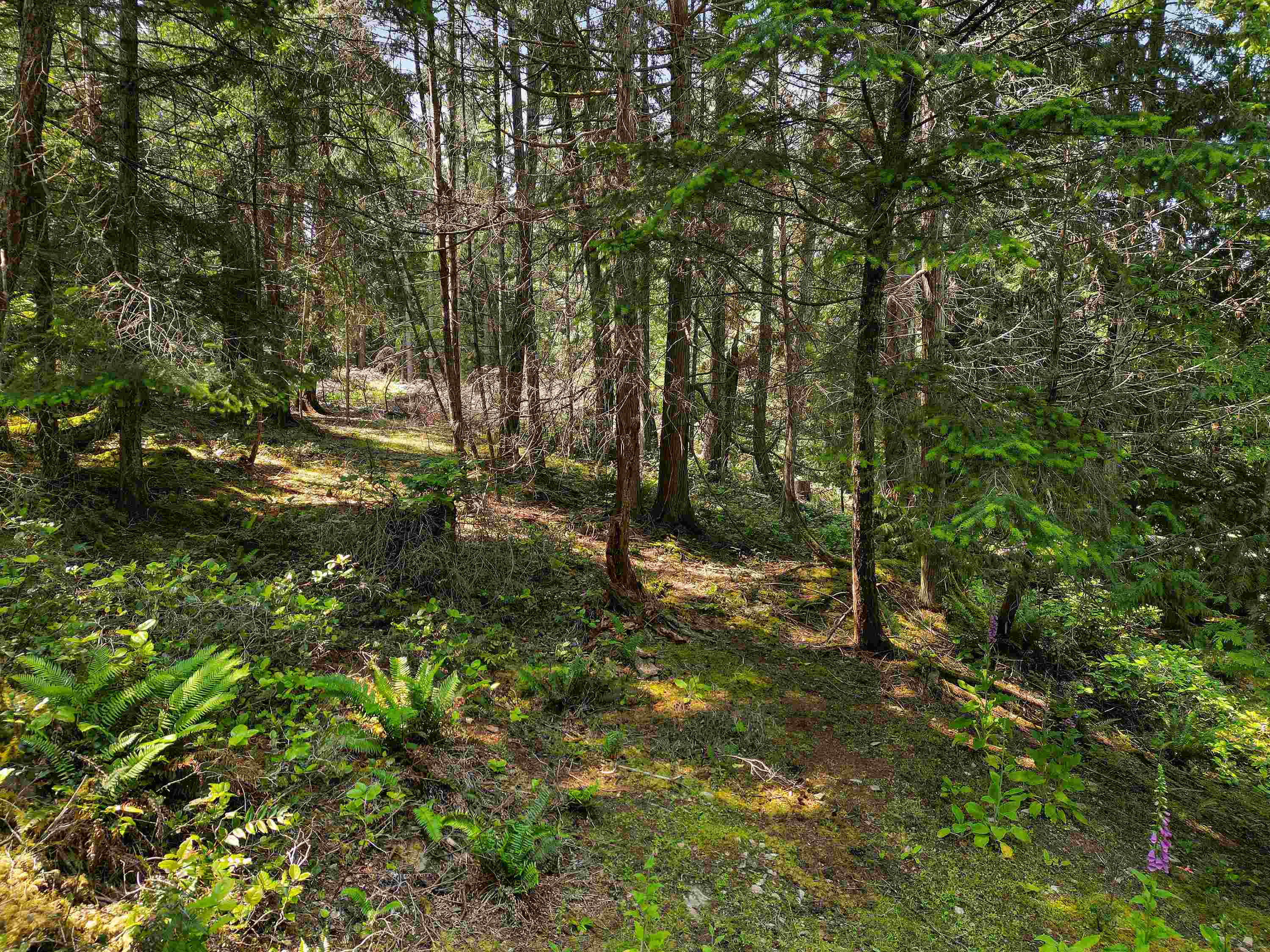 568 Aya Reach Rd, Mayne Island, BC V0N 2J1