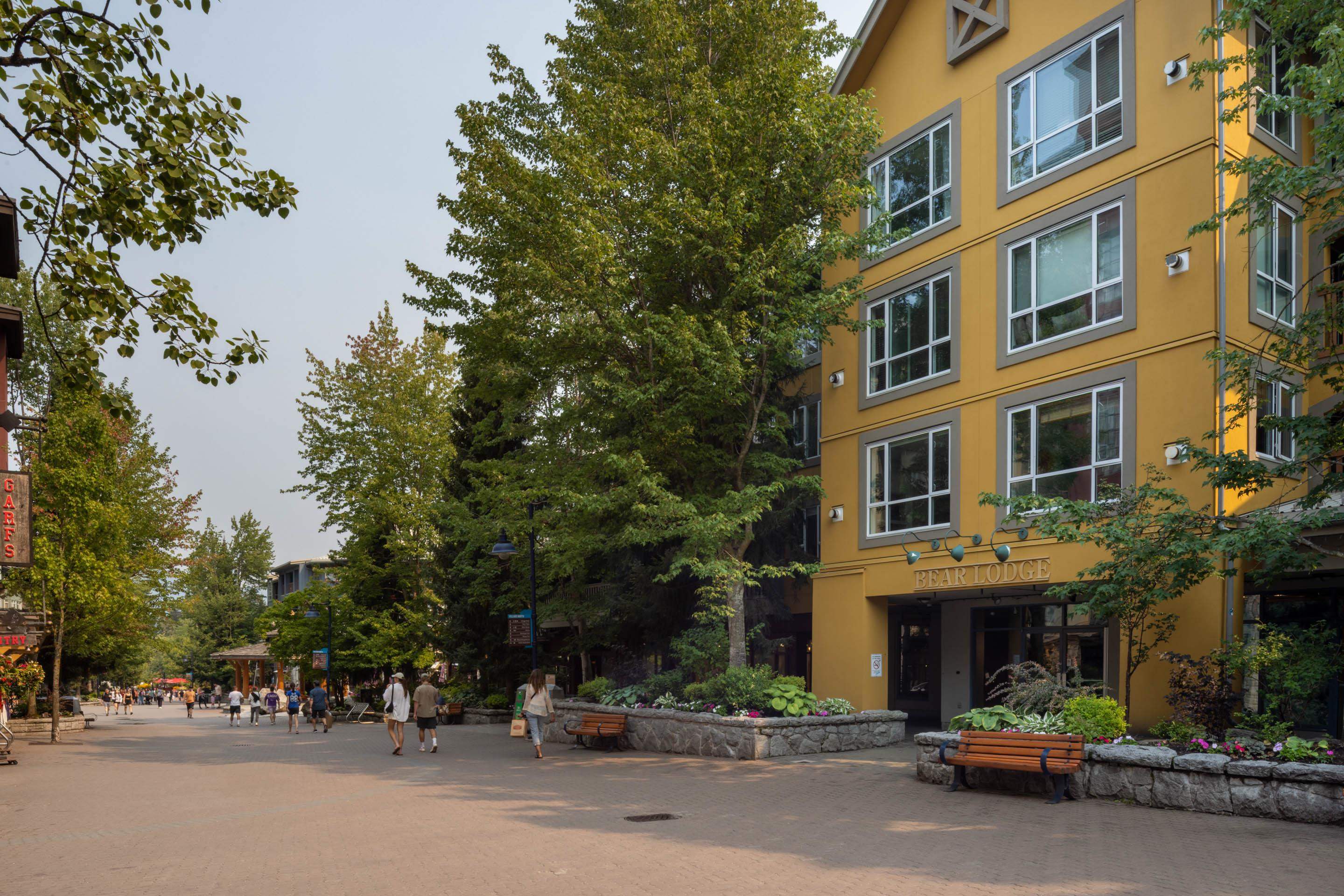 4314 Main Street #203, Whistler, BC V8E 1A8