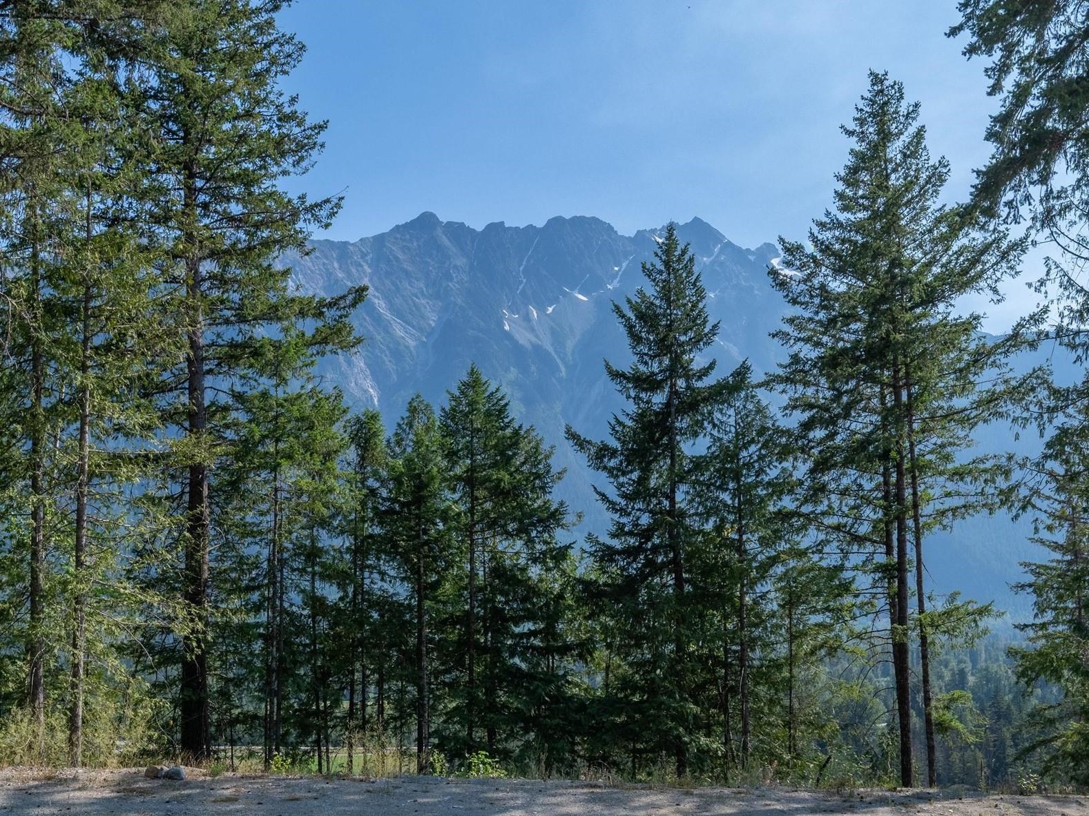 8206 Merlot Peak Drive, Pemberton, BC V0N 2L3