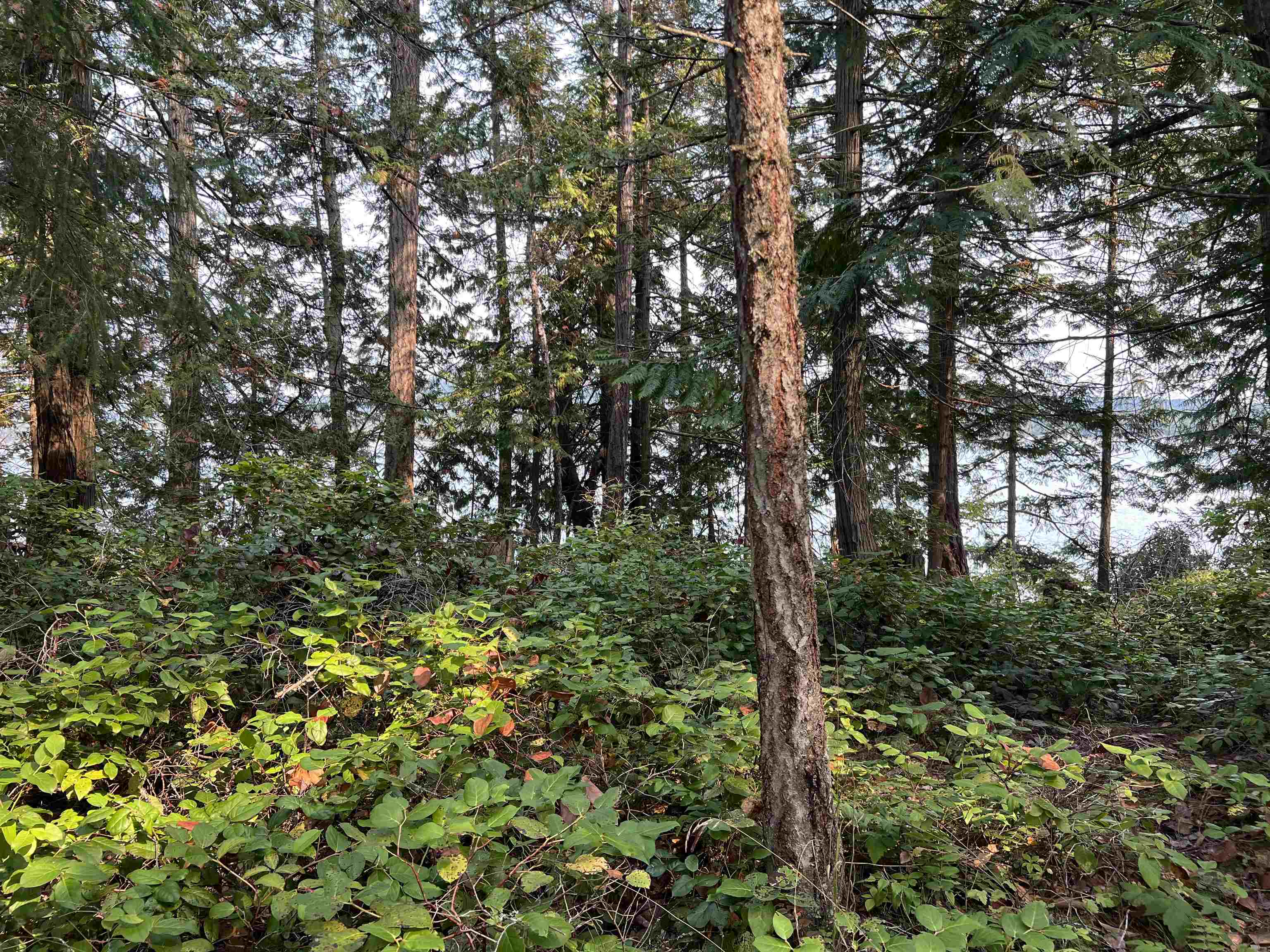 Lot 2 North End Road, Salt Spring Island, BC V0V 0V0