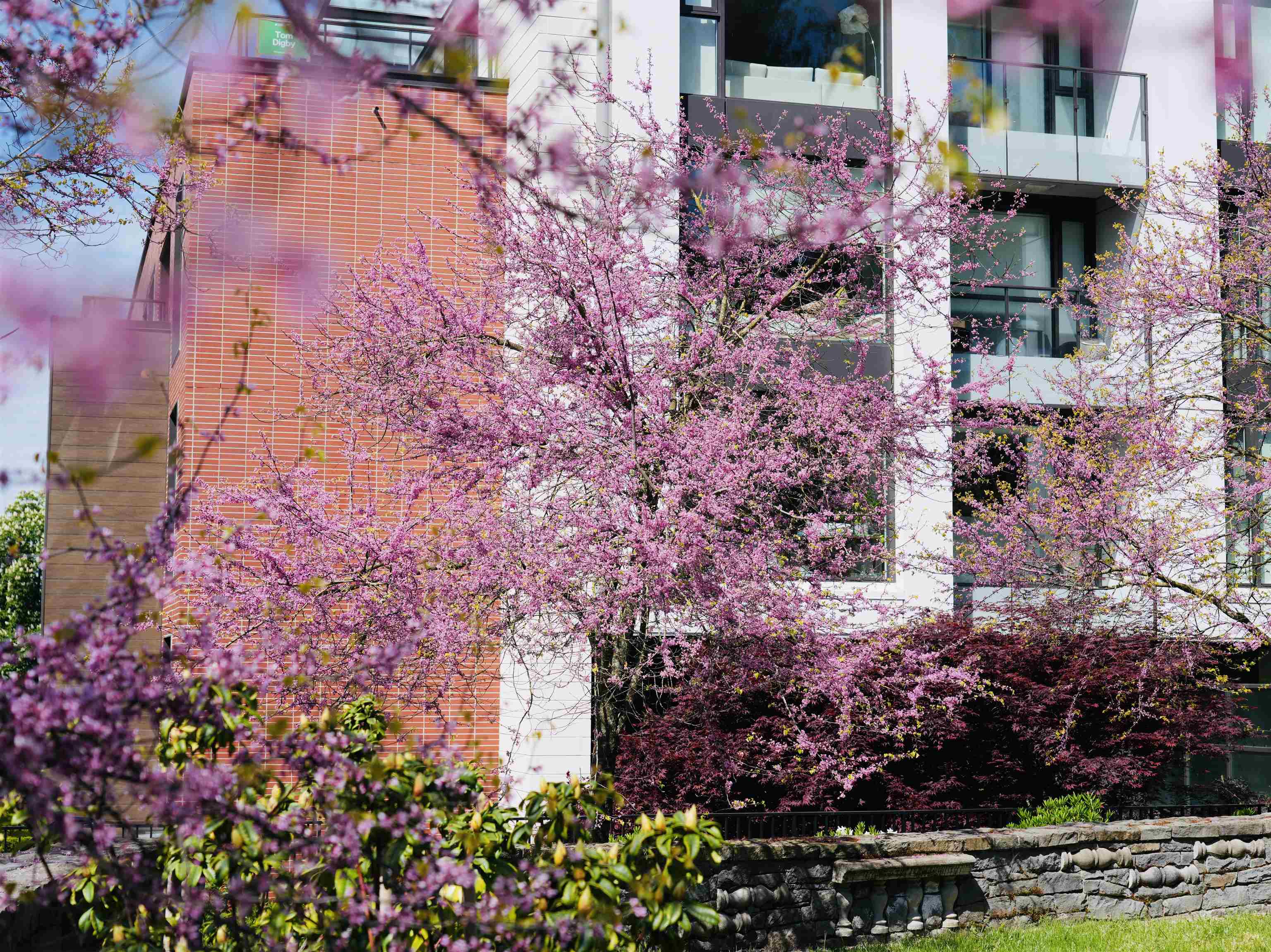 1571 West 57th Avenue #603, Vancouver, BC V6P 0H7