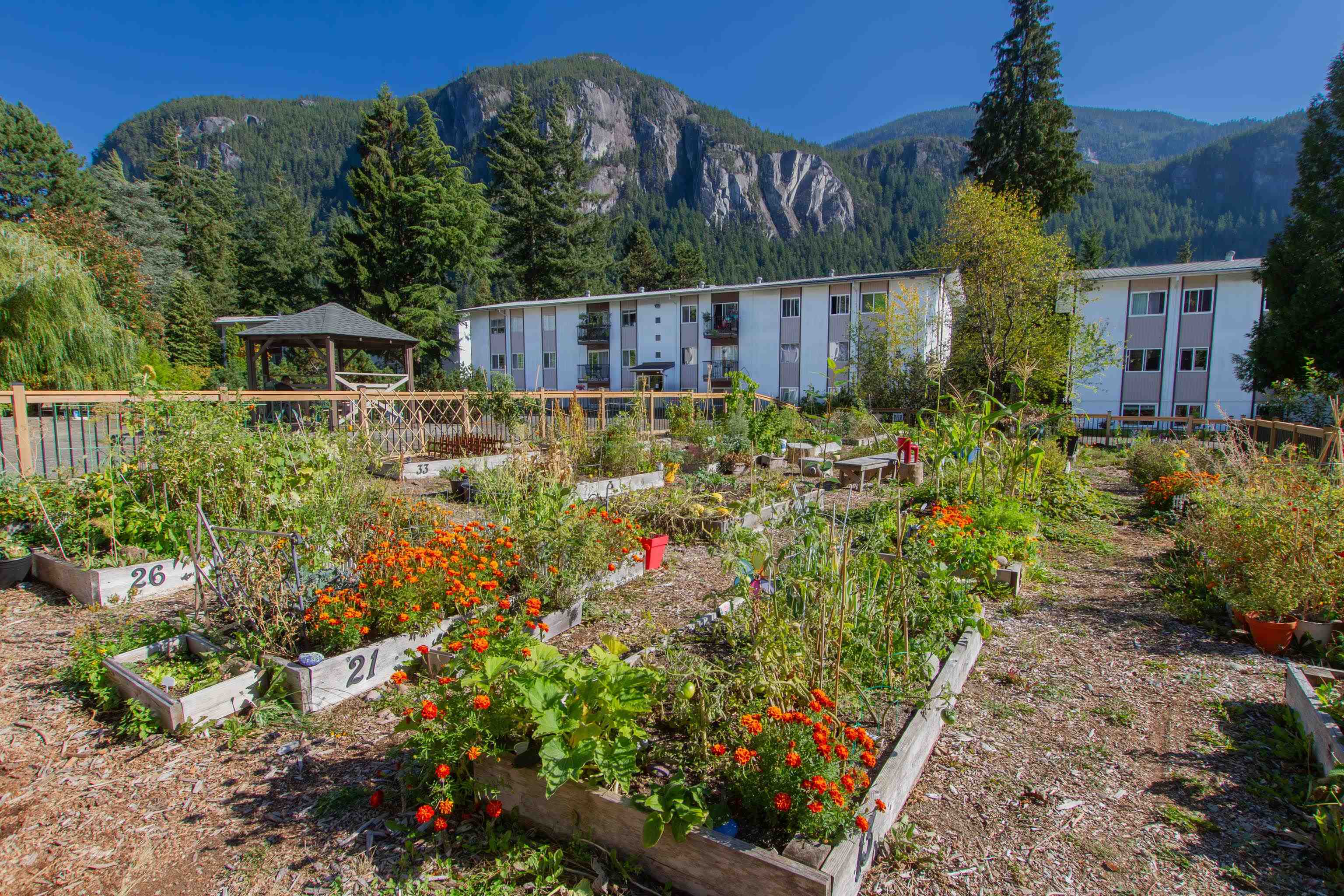 38175 Westway Avenue #35, Squamish, BC V8B 0A5