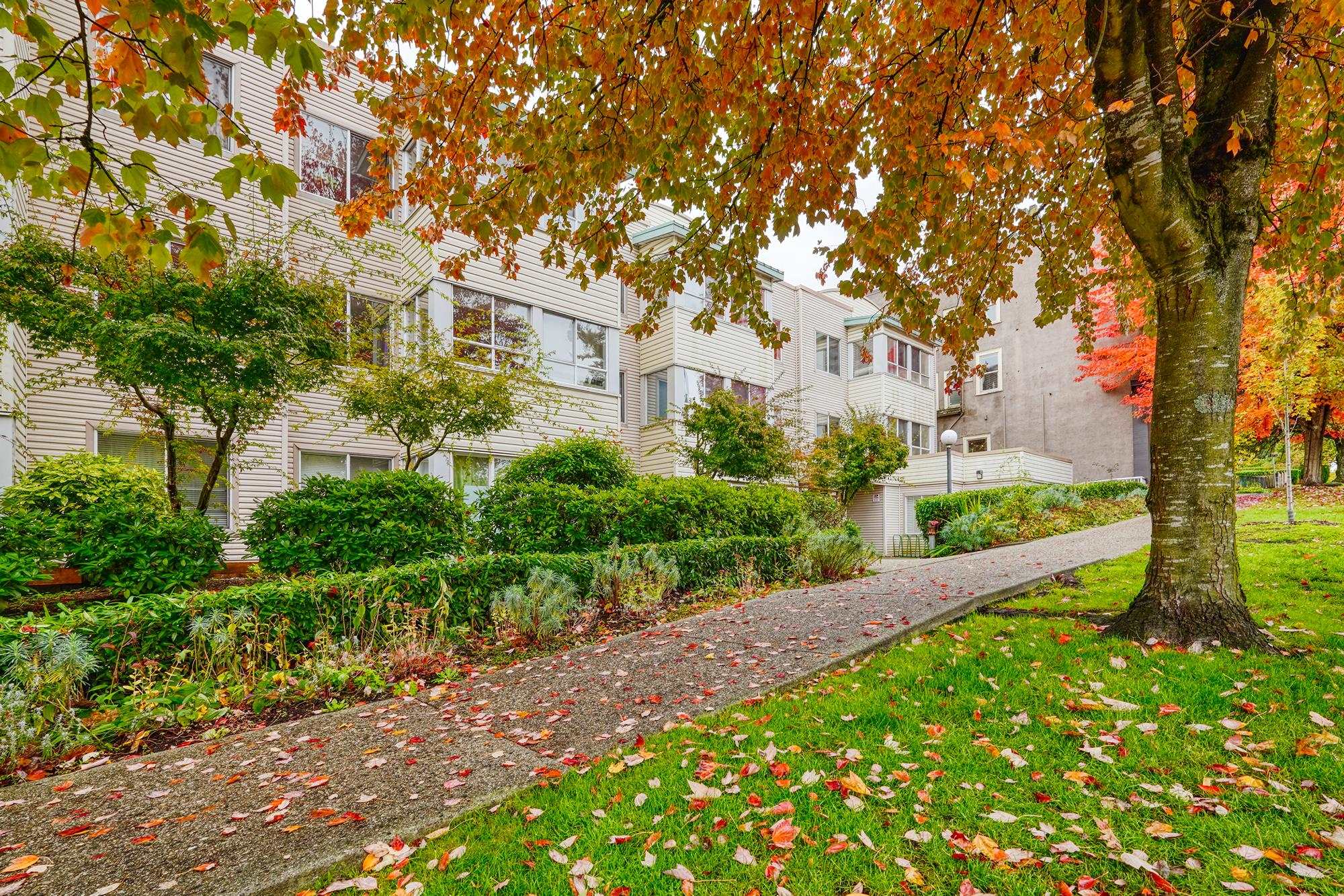 3624 3624 Fraser Street #211, Vancouver, BC V5V 4C8