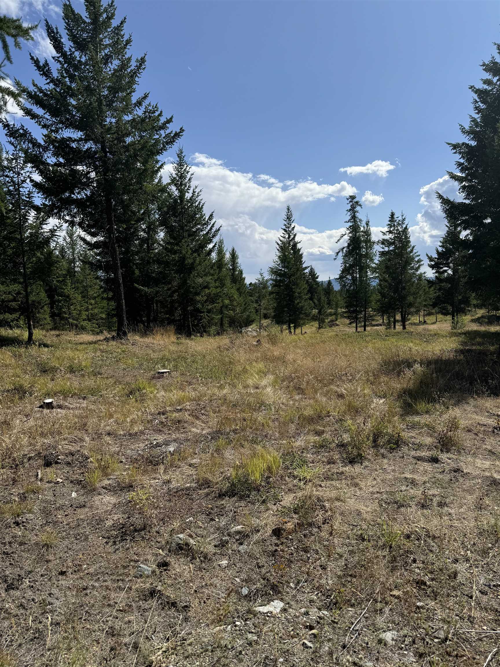 891 Raven Hill Road, No City Value, BC V3H 1V6
