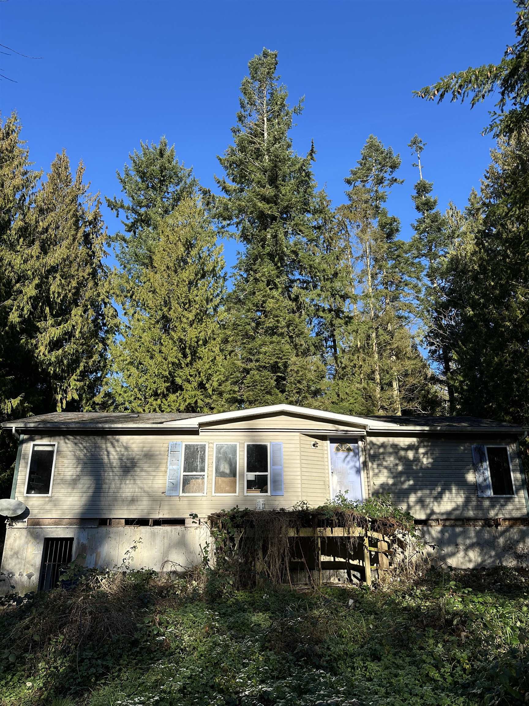 28444 Bell Avenue, Maple Ridge, BC V2W 1L3