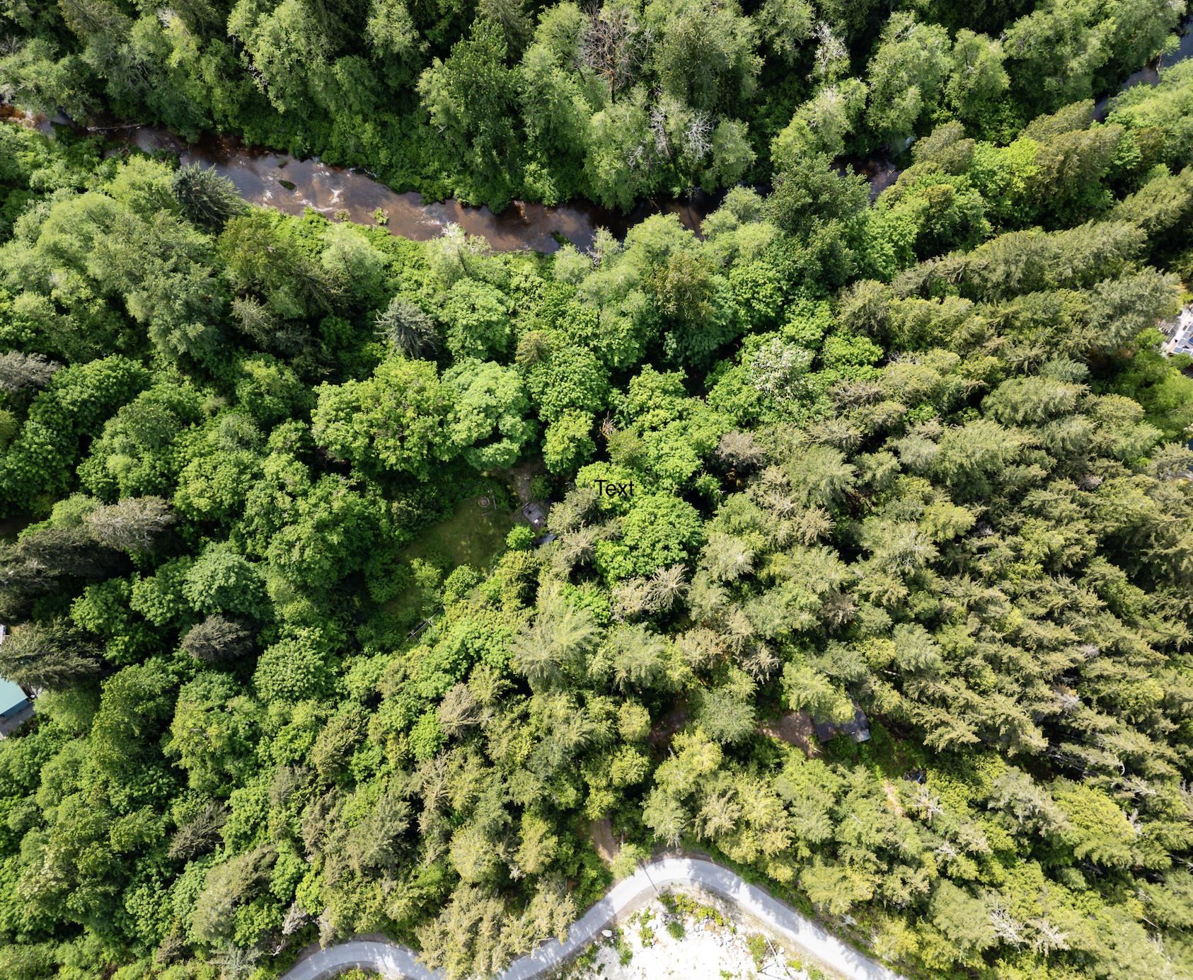 1030 S Rustad Road, Squamish, BC V0N 2L2