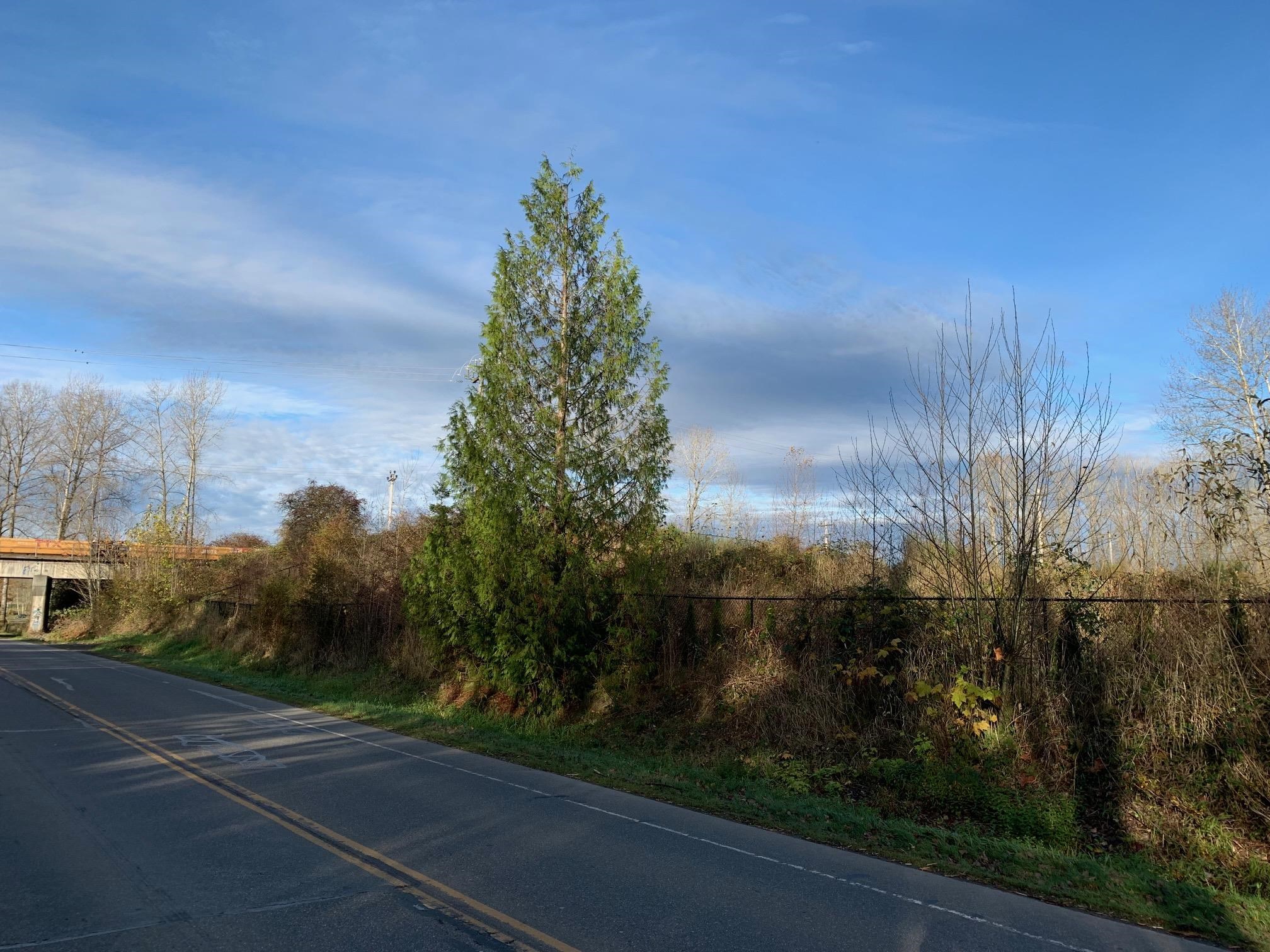 Lt 1 Rawlison Crescent, Langley, BC V1M 3R7