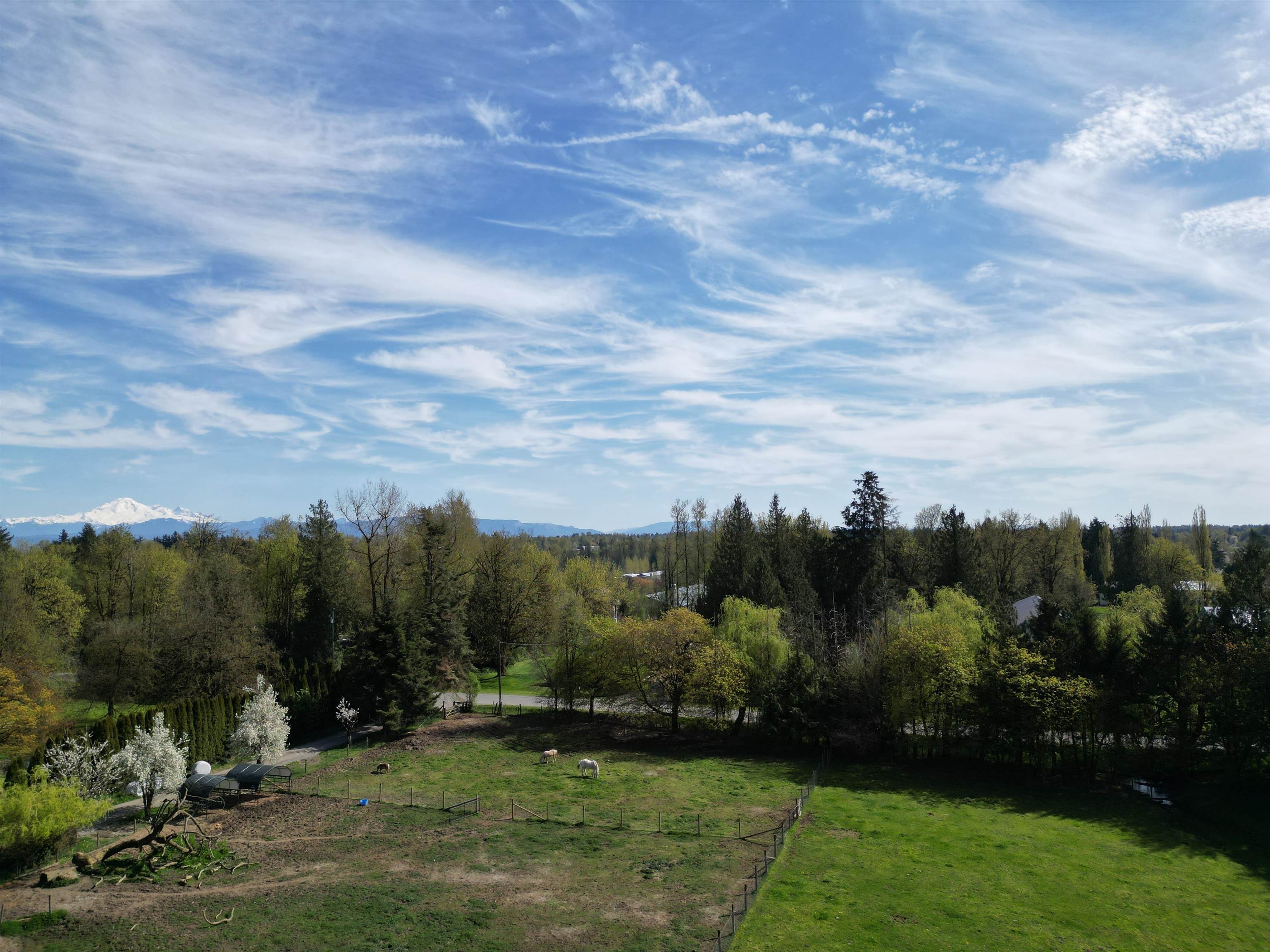 28927 Buchanan Avenue, Abbotsford, BC V4X 2C8