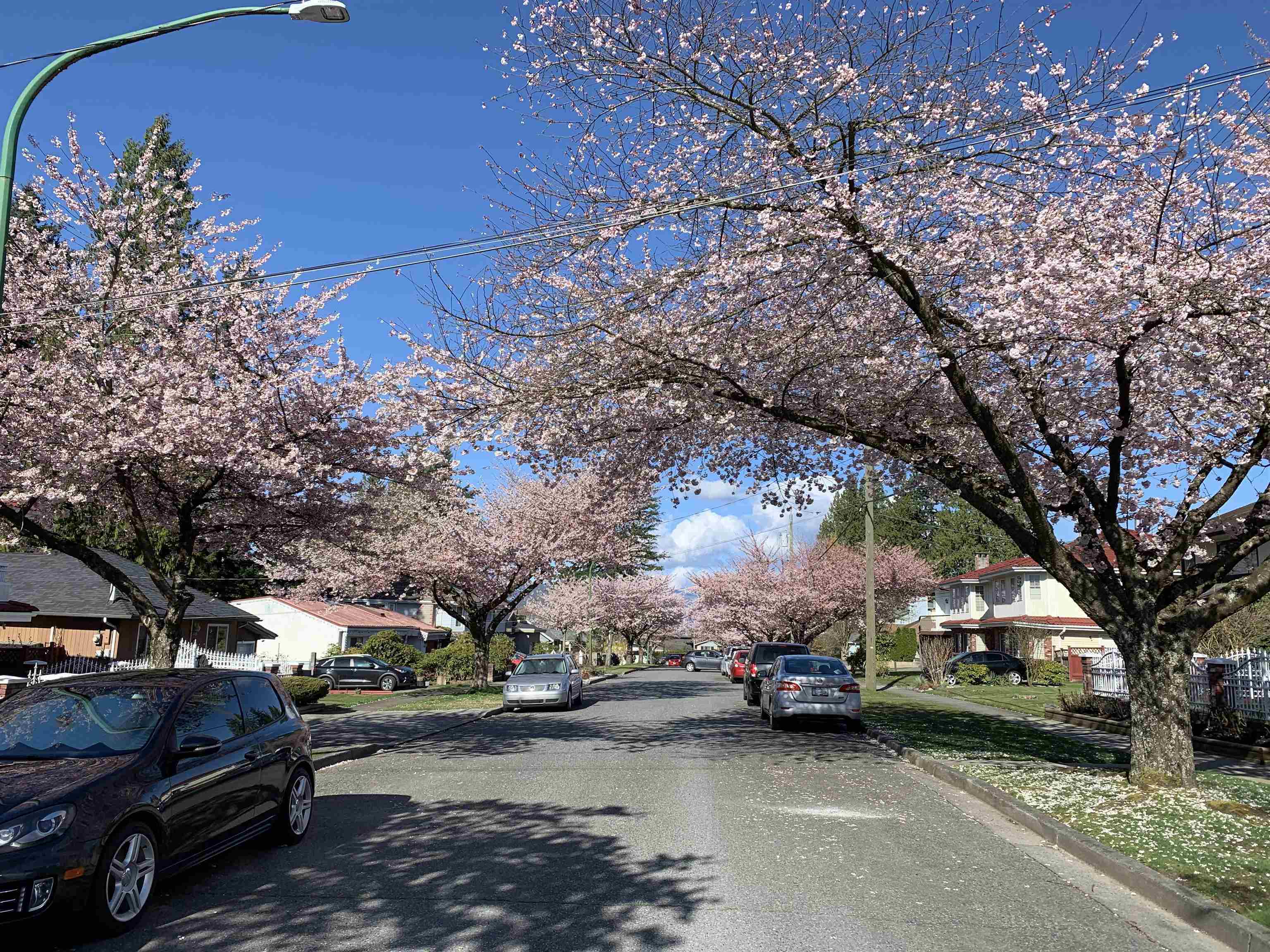 7606 Ulster Street, Burnaby, BC V5E 2E9