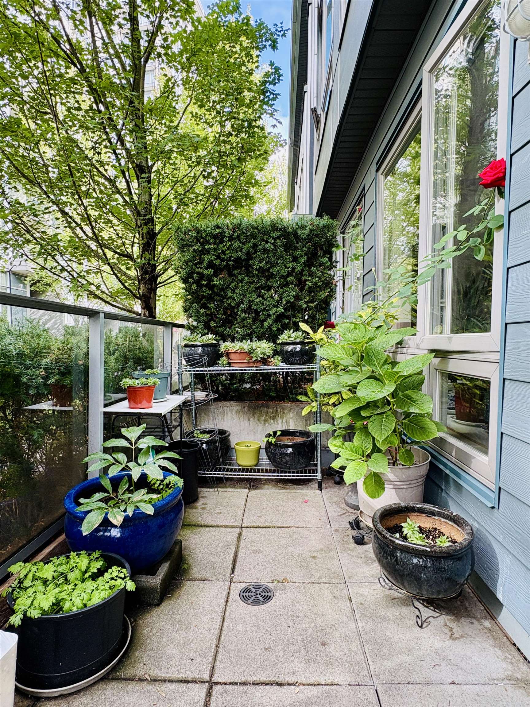 4886 Eldorado Mews, Vancouver, BC V5R 0B1