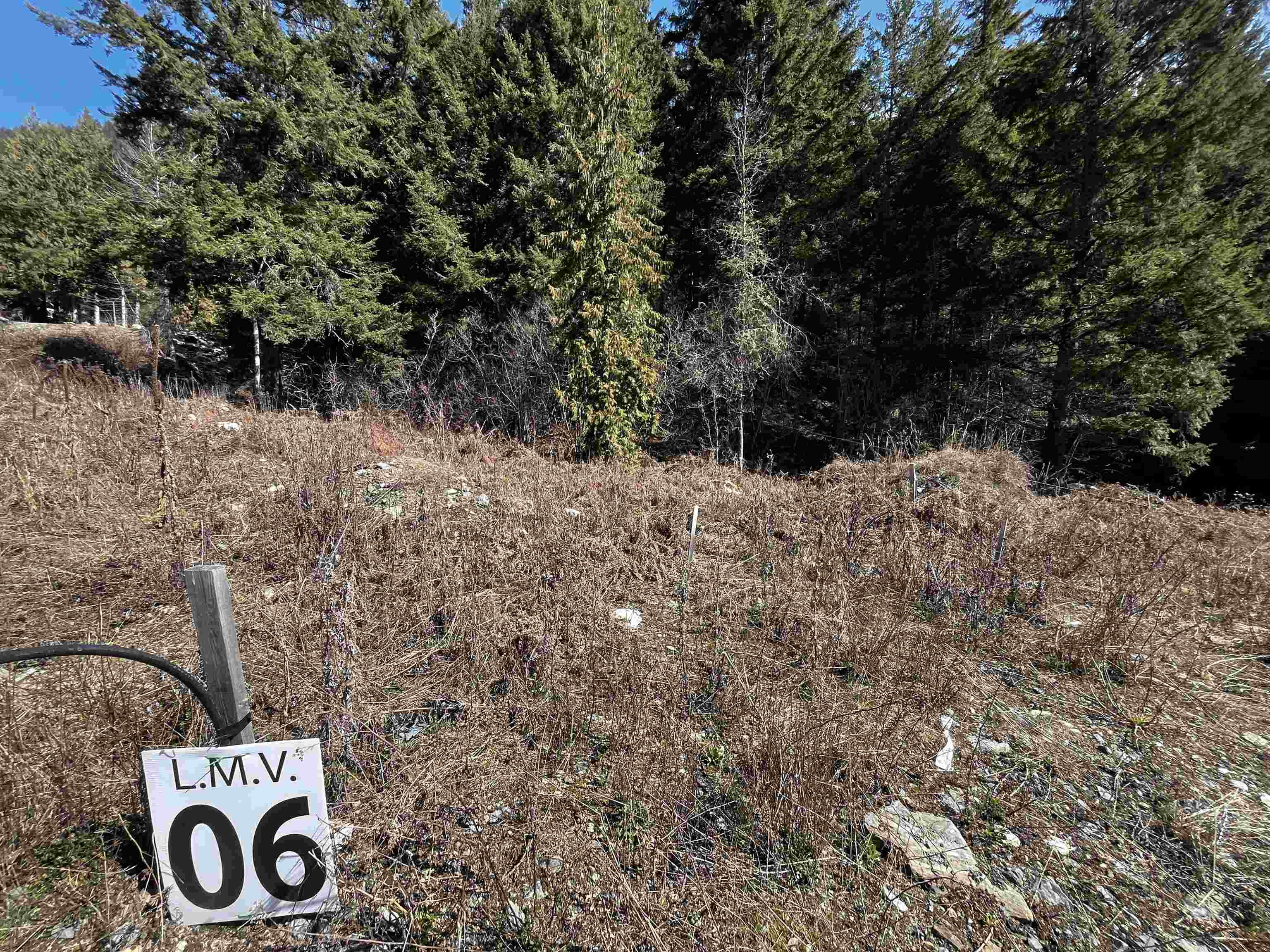 Lmv 6 Old Hope Princeton Highway, Sunshine Valley, BC V0X 1L5