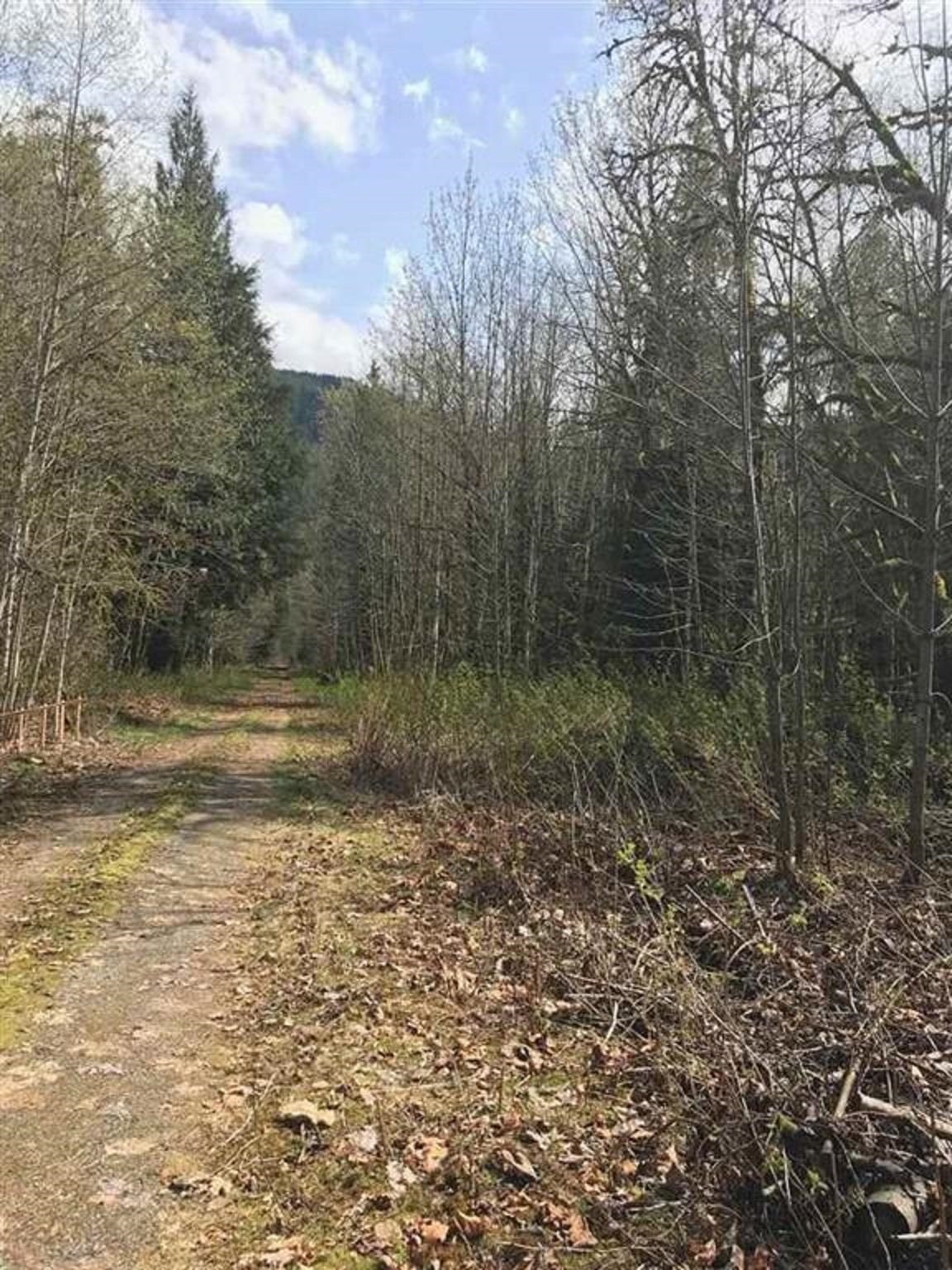 Dl 993 Squamish Valley Road, Squamish, BC V0V 0V0