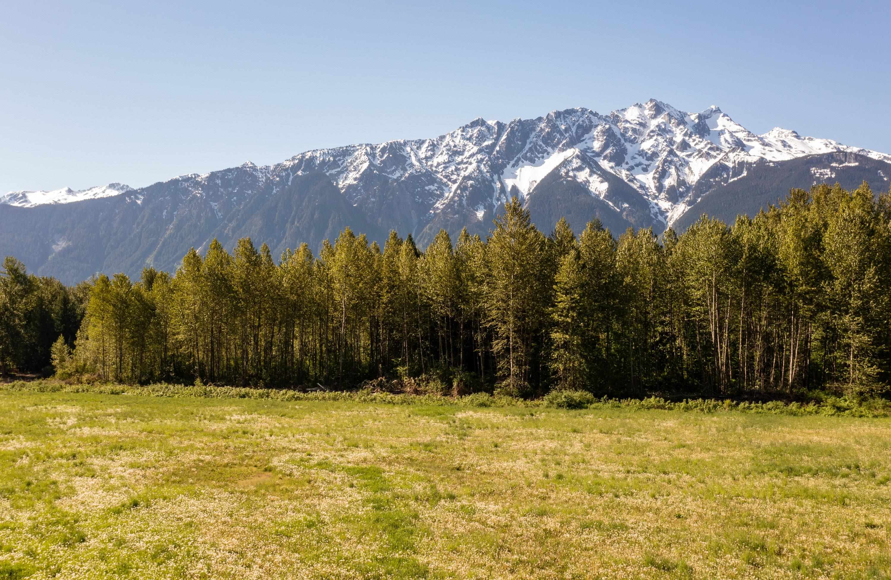 Lot 1 Pemberton Farm Road, Pemberton, BC V2L 2L0