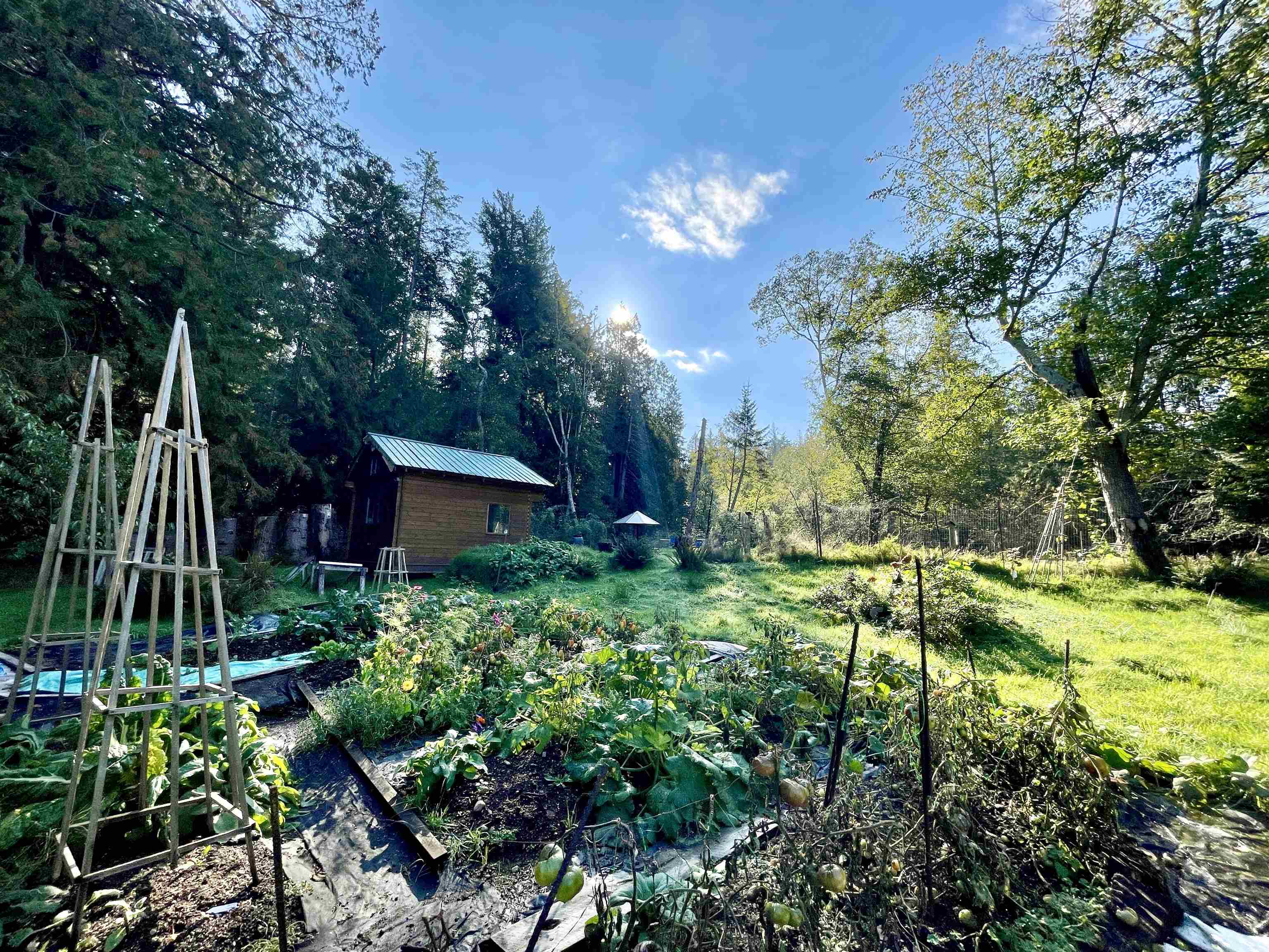 650 Tumbo Channel Rd, Saturna Island, BC V0N 2Y0