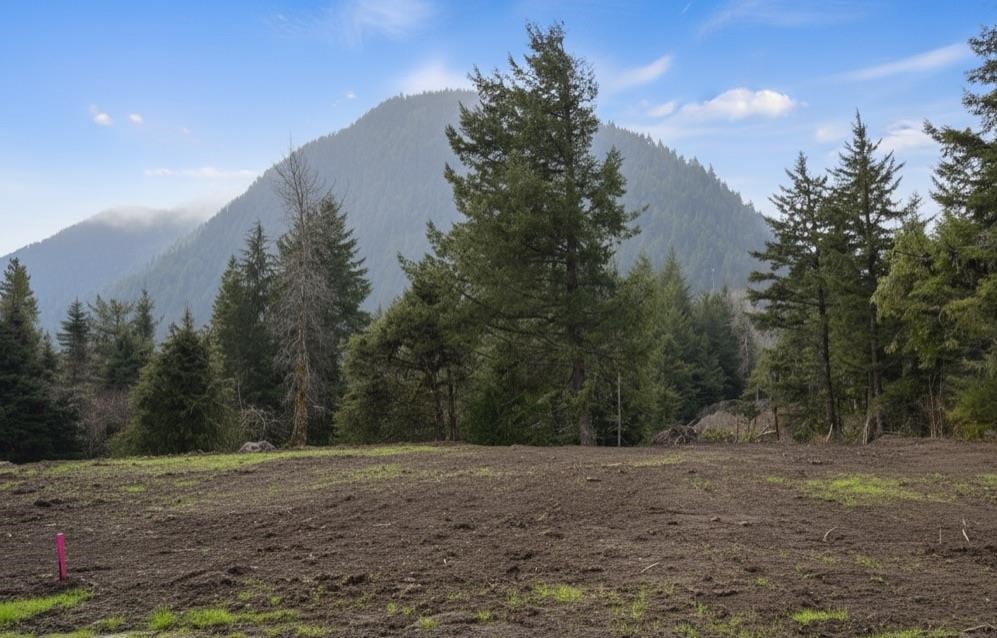 Sv103 Old Hope Princeton Highway, Hope, BC V0X 1L5