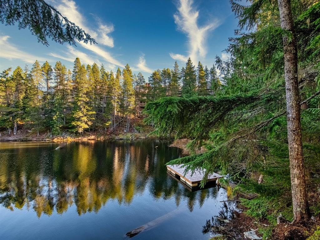 1400 Alta Lake Road #d101, Whistler, BC V8E 0G9