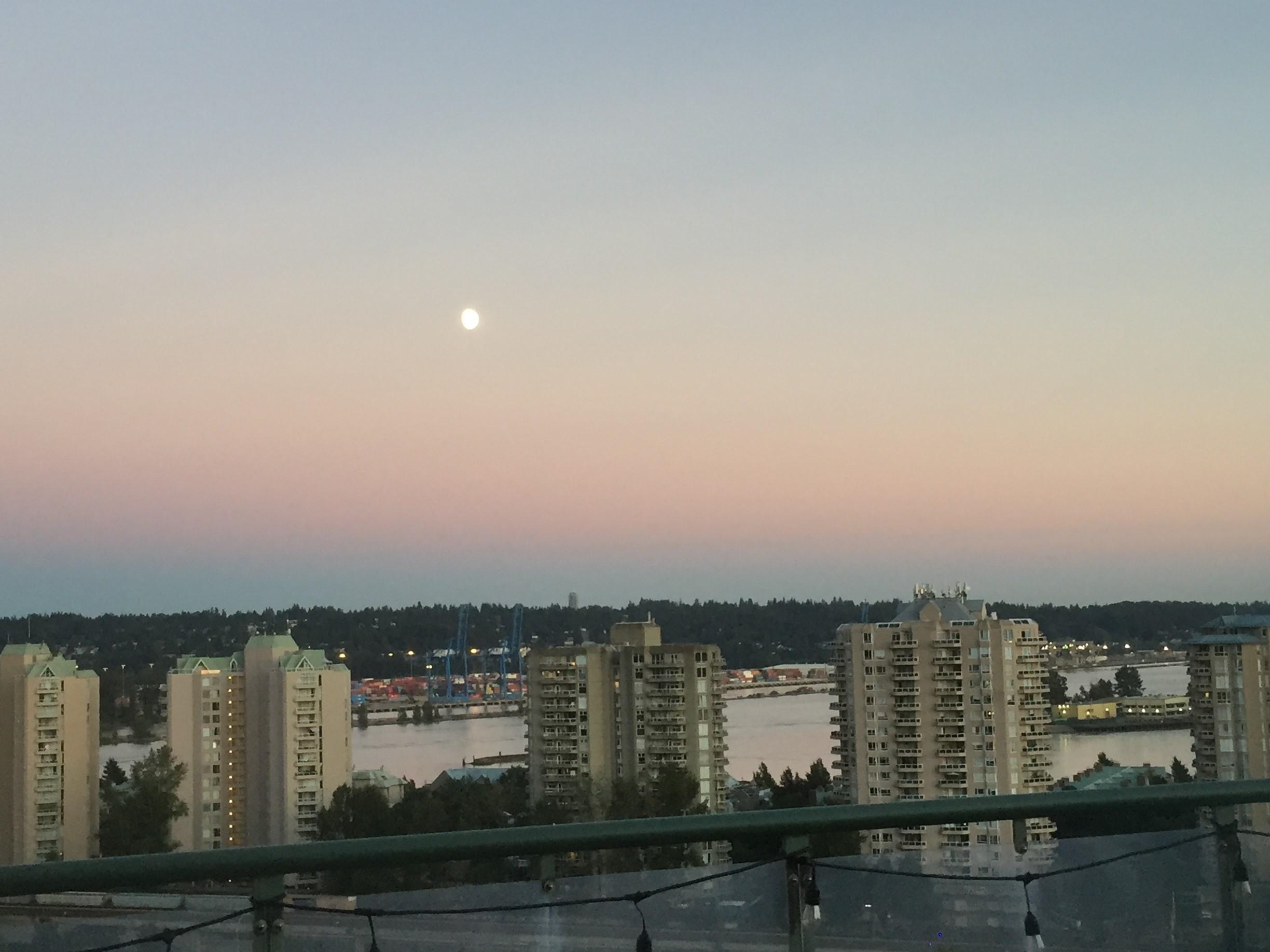 1026 Queens Avenue #1105, New Westminster, BC V3M 6B2