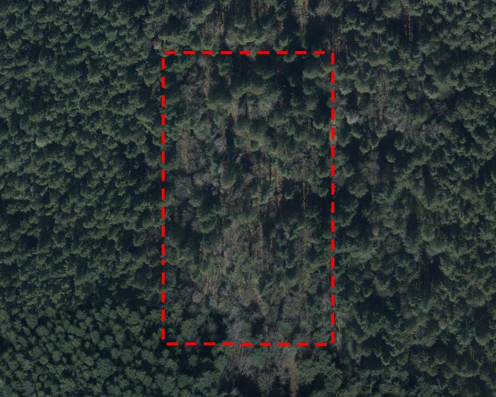 138 Avenue, Maple Ridge, BC V0V 0V0