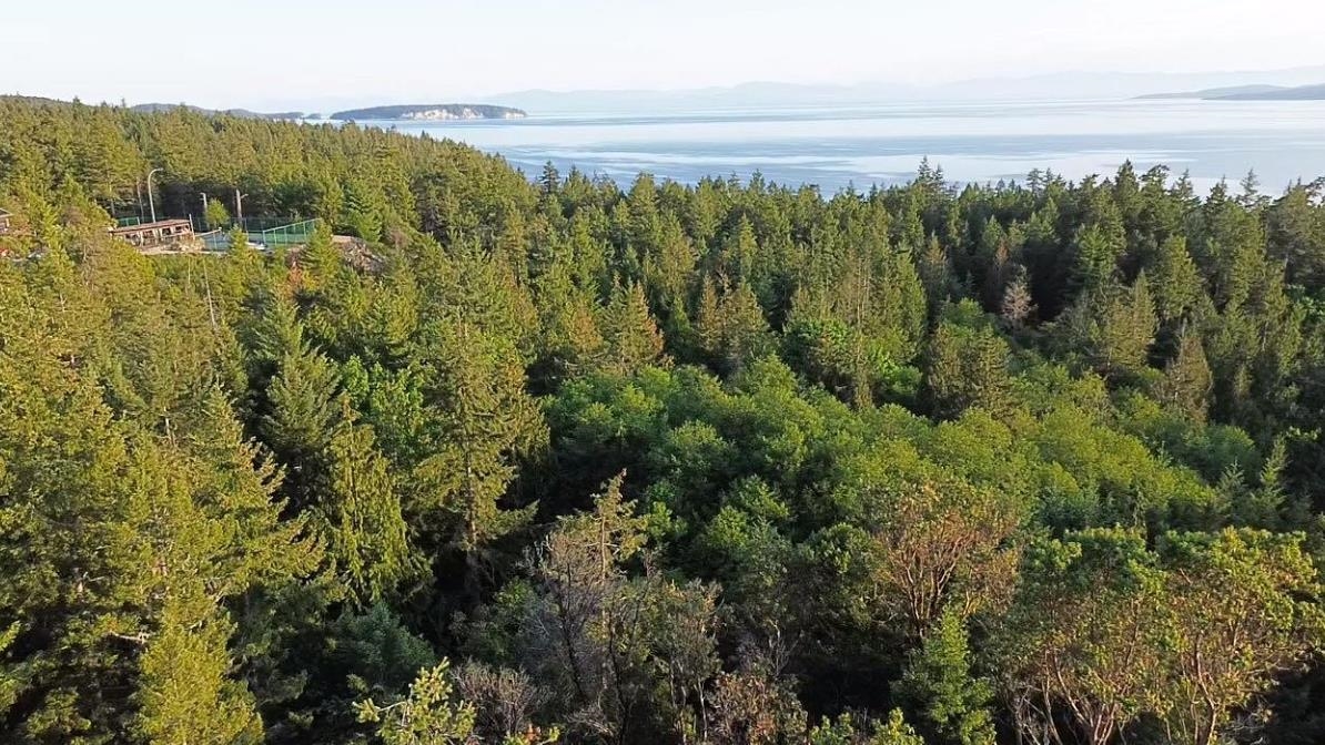 11793 Sunshine Coast Hwy, Halfmoon Bay, BC V7Z 1C1