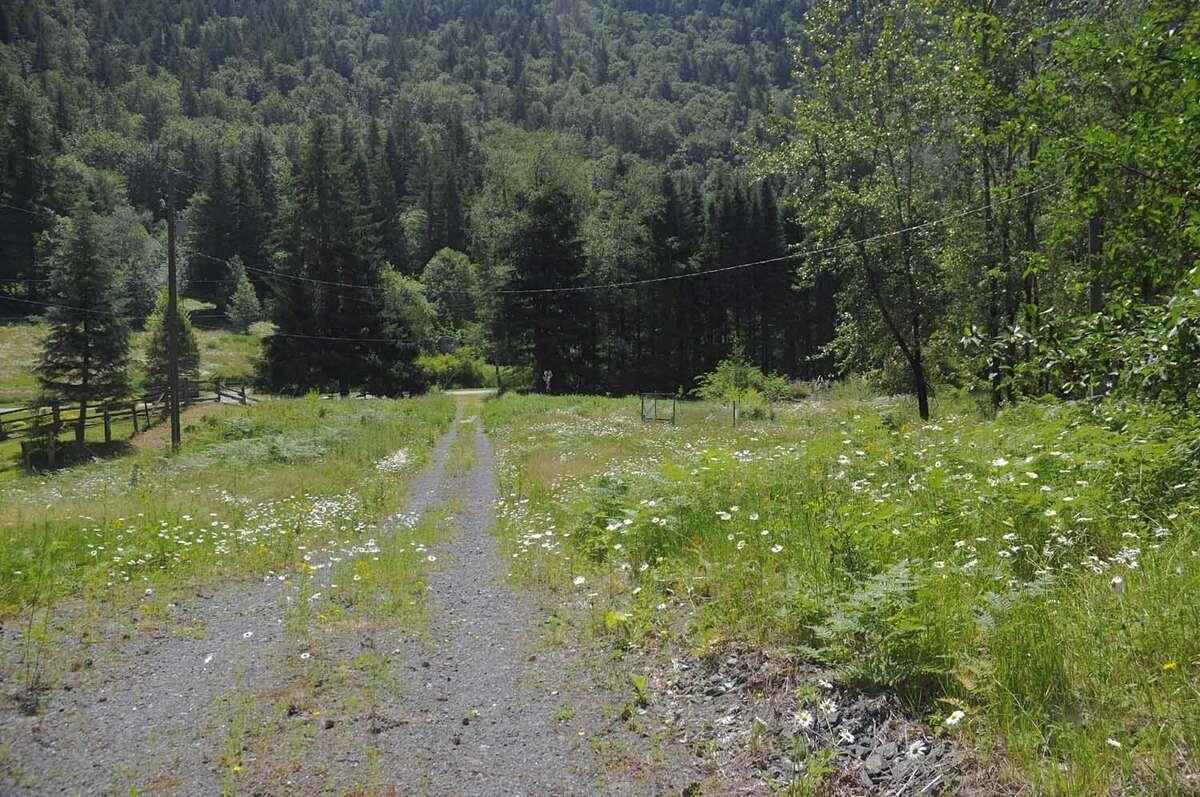 43751 Frost Rd, Columbia Valley, BC V2R 4X9