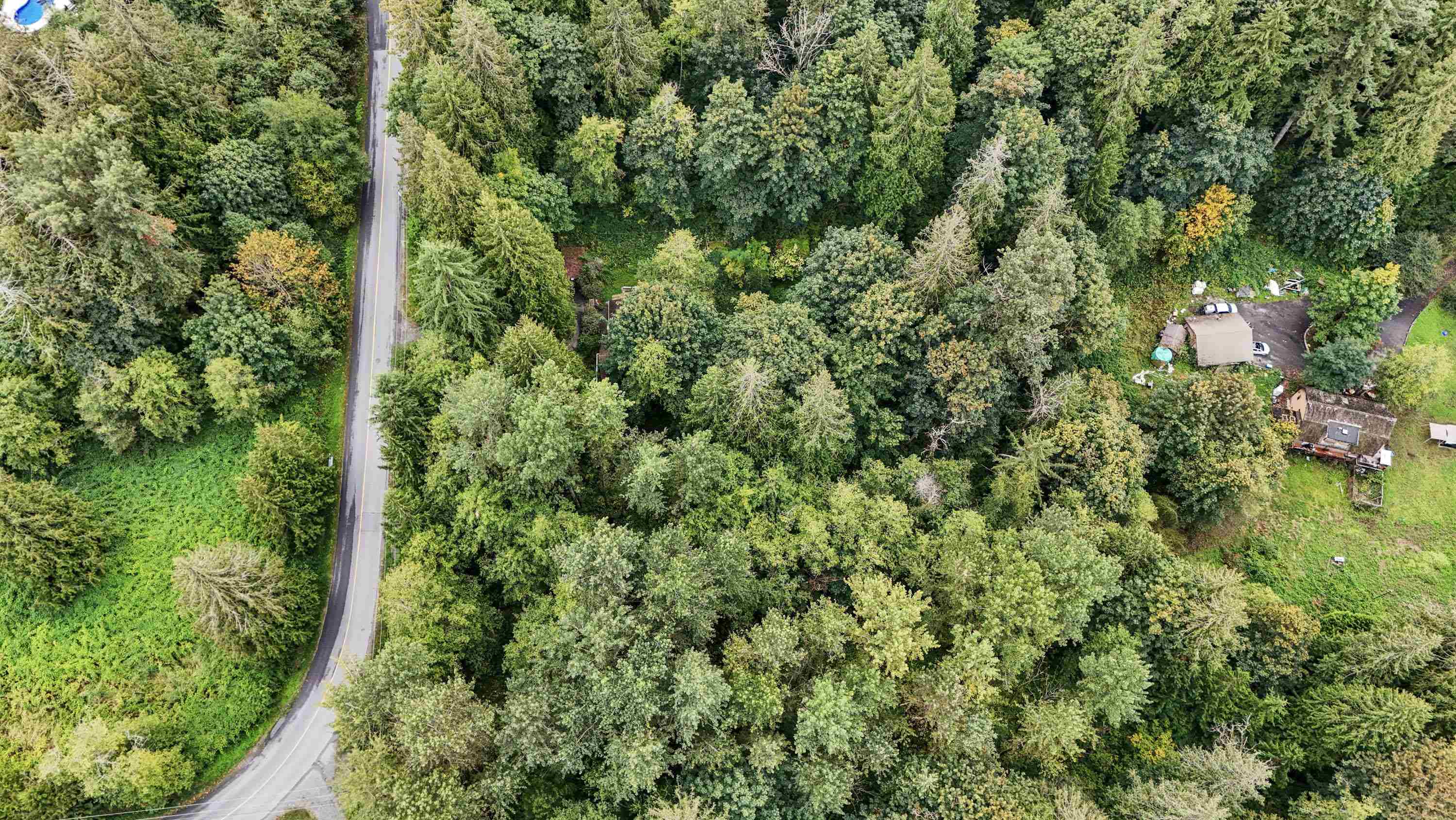 249 Street, Maple Ridge, BC V2W 1Z7