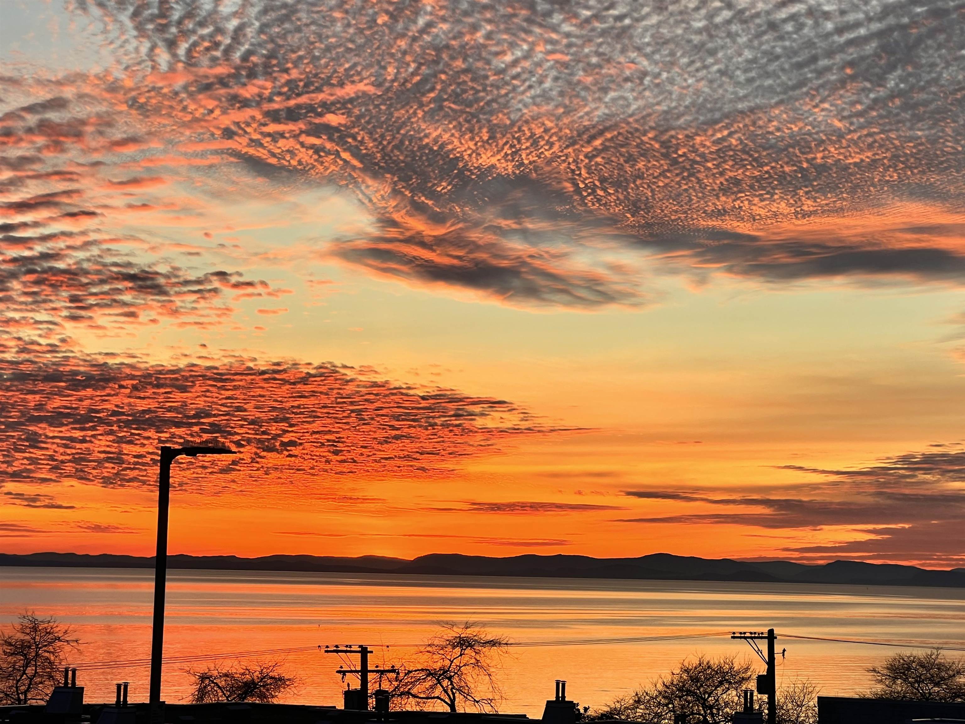 1246 Oxford Street, White Rock, BC V4B 5G8