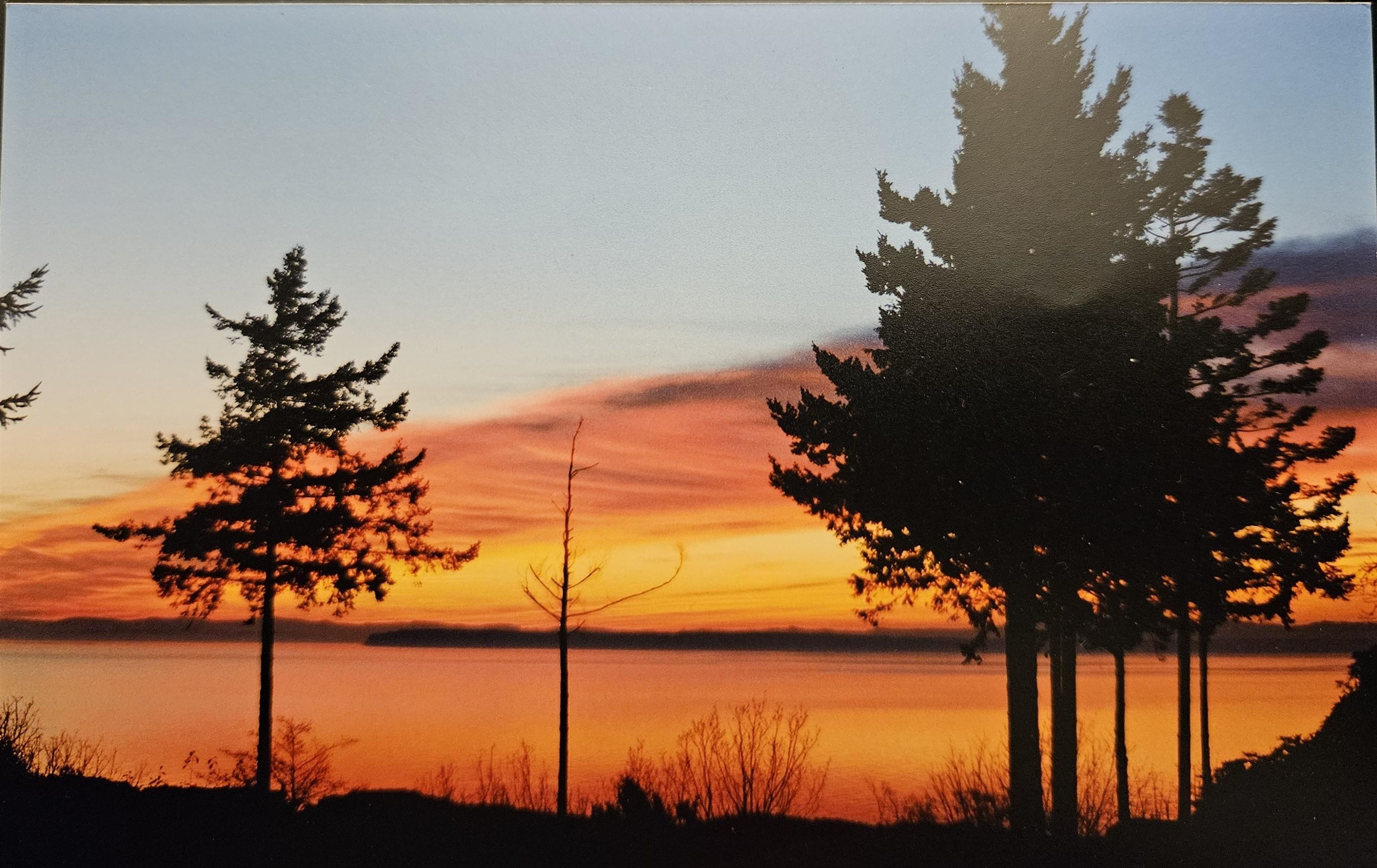 16 Avenue, Surrey, BC V4A 1M7