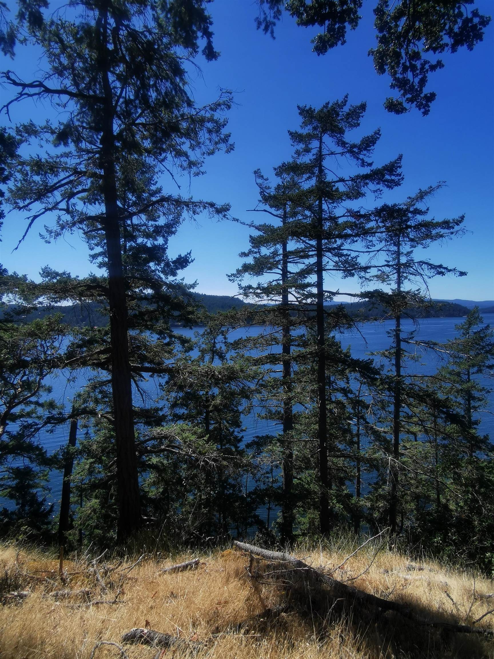 Beechwood Drive, Mayne Island, BC V0N 2J2